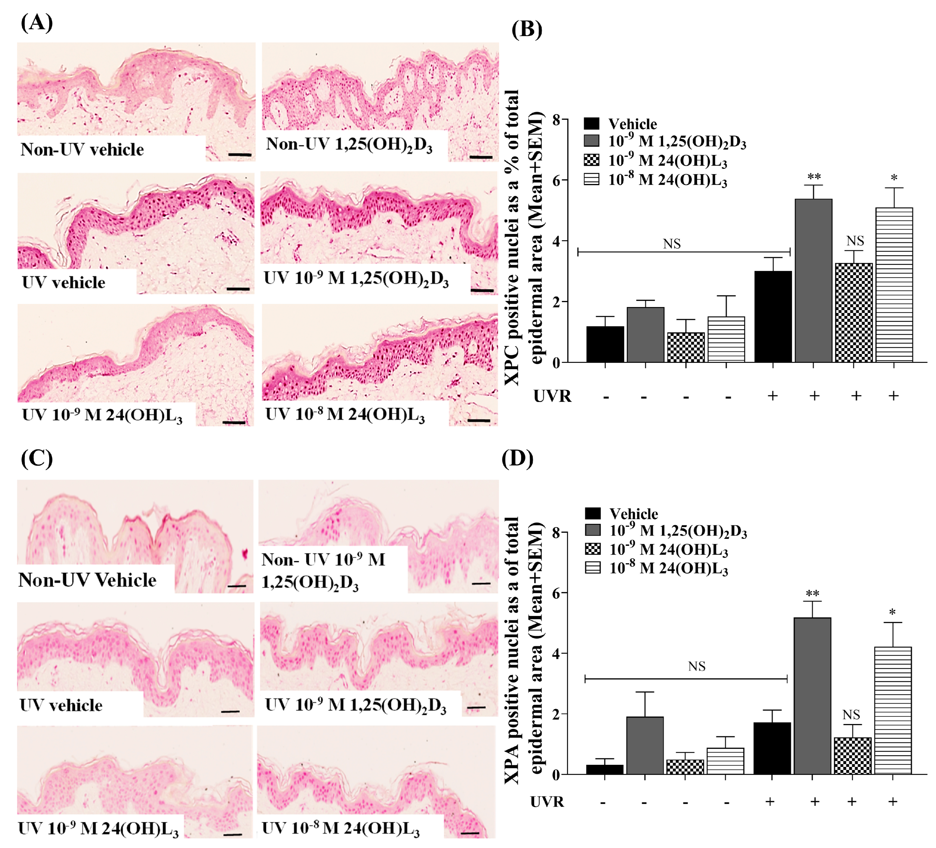 Metabolites 13 00775 g007