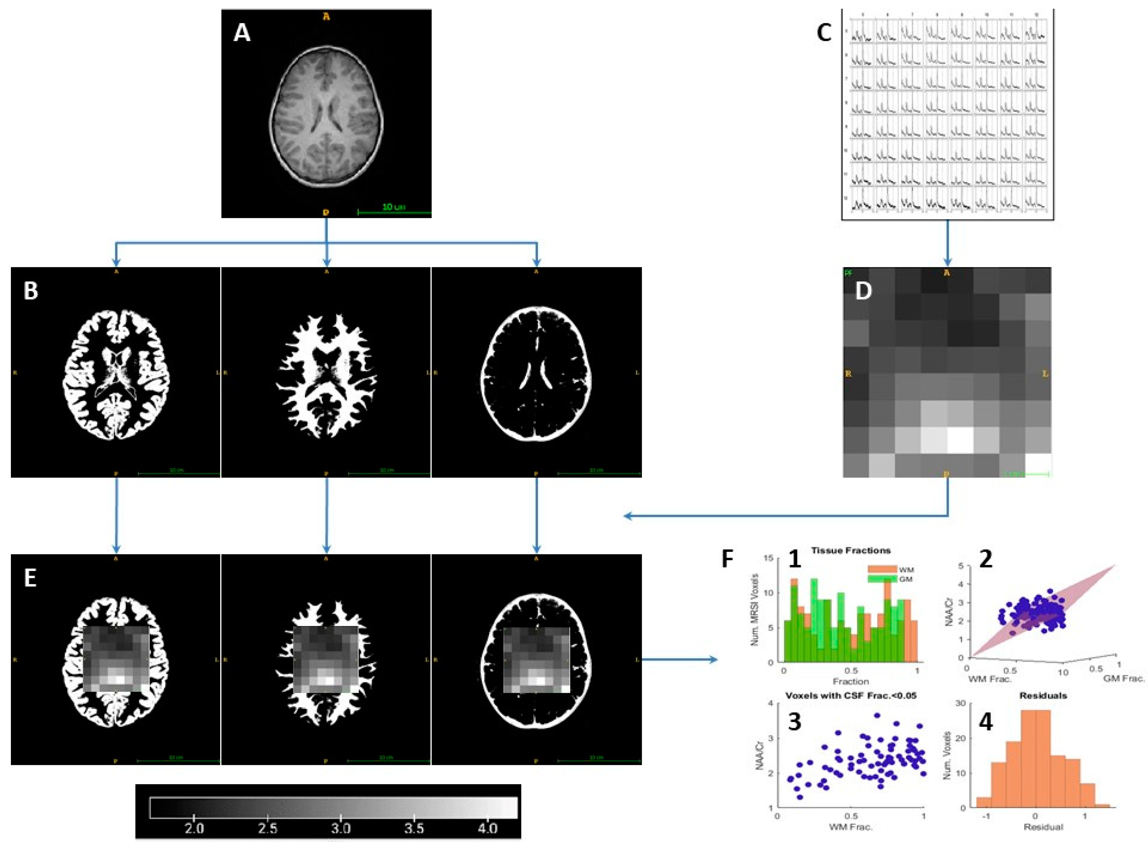 Metabolites 13 00778 g003