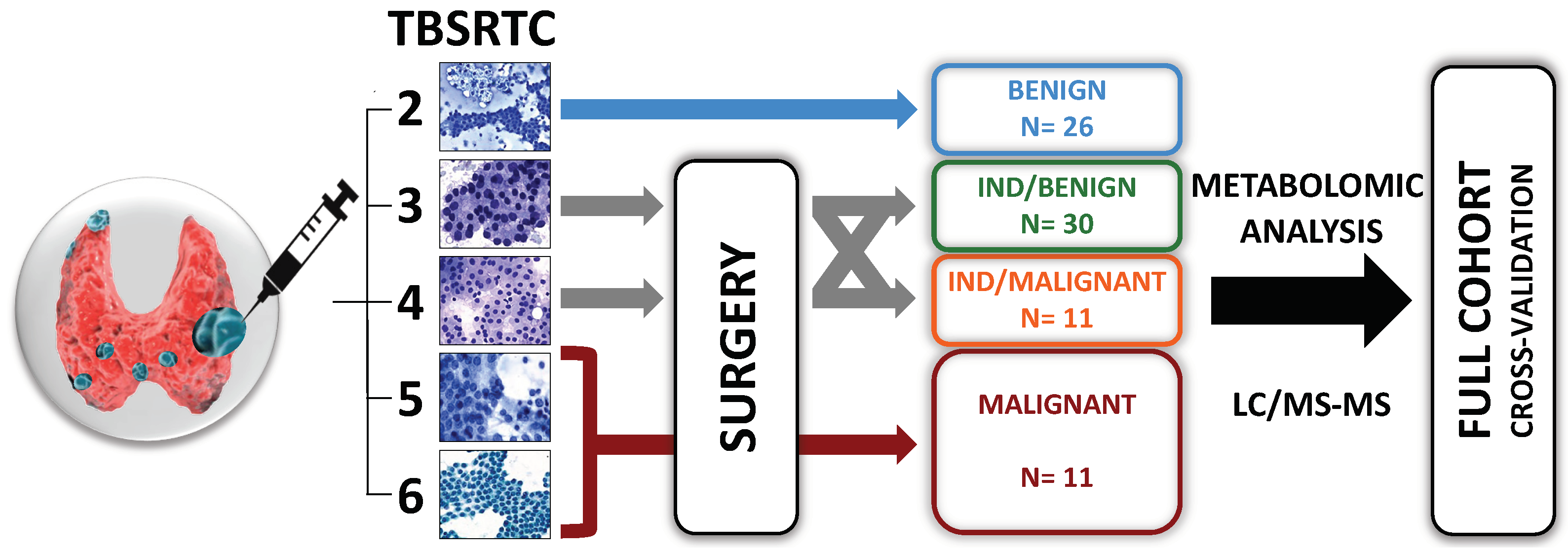 Metabolites 13 00782 g001