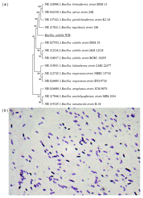 Metabolites 13 00785 g002