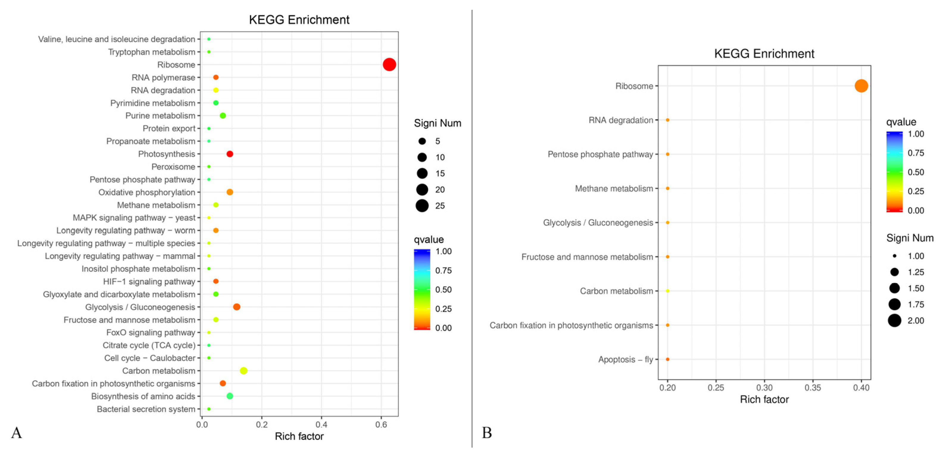 Metabolites 13 00785 g010