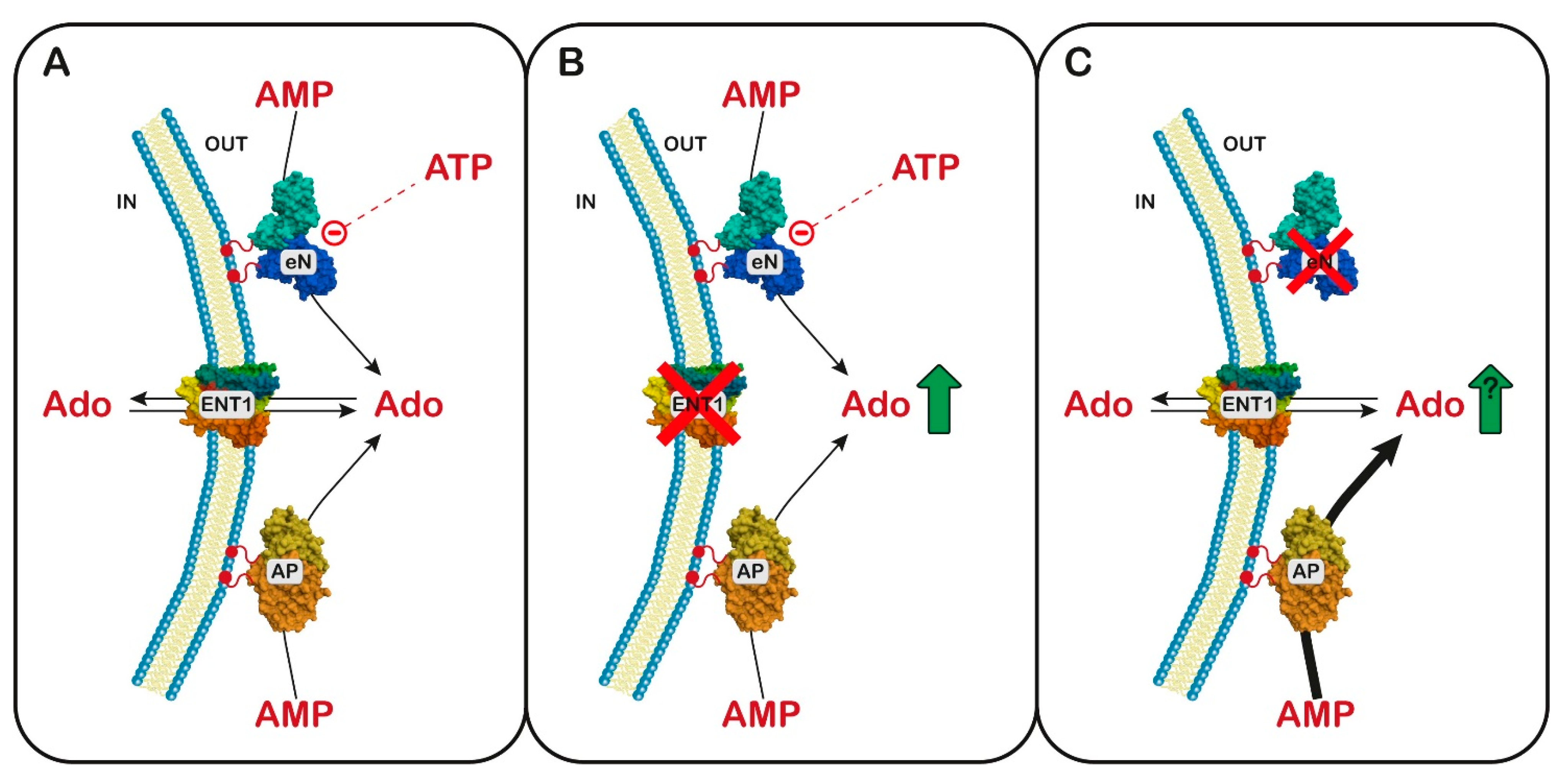 Metabolites 13 00787 g003