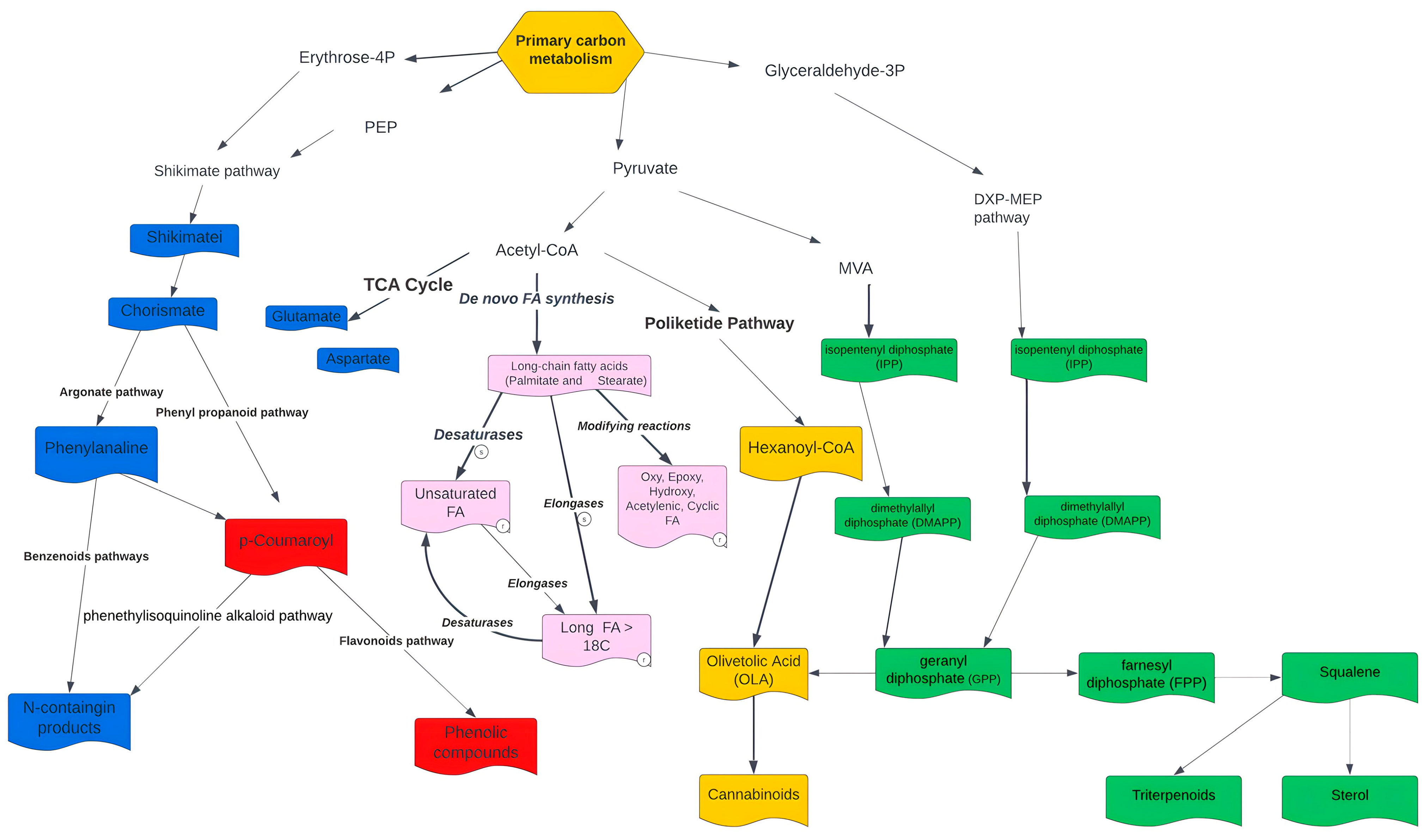 Metabolites 13 00788 g006