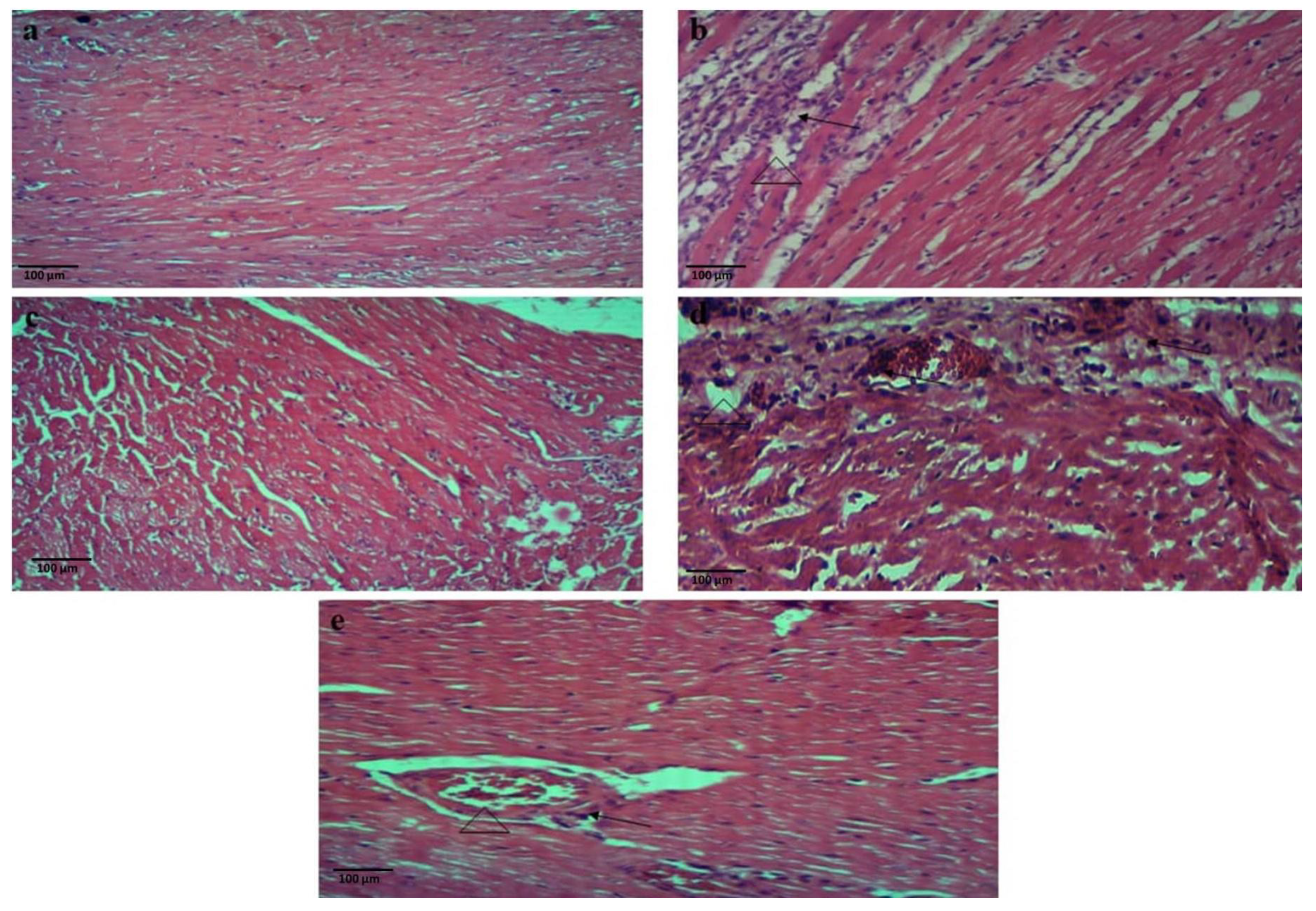 Metabolites 13 00794 g004