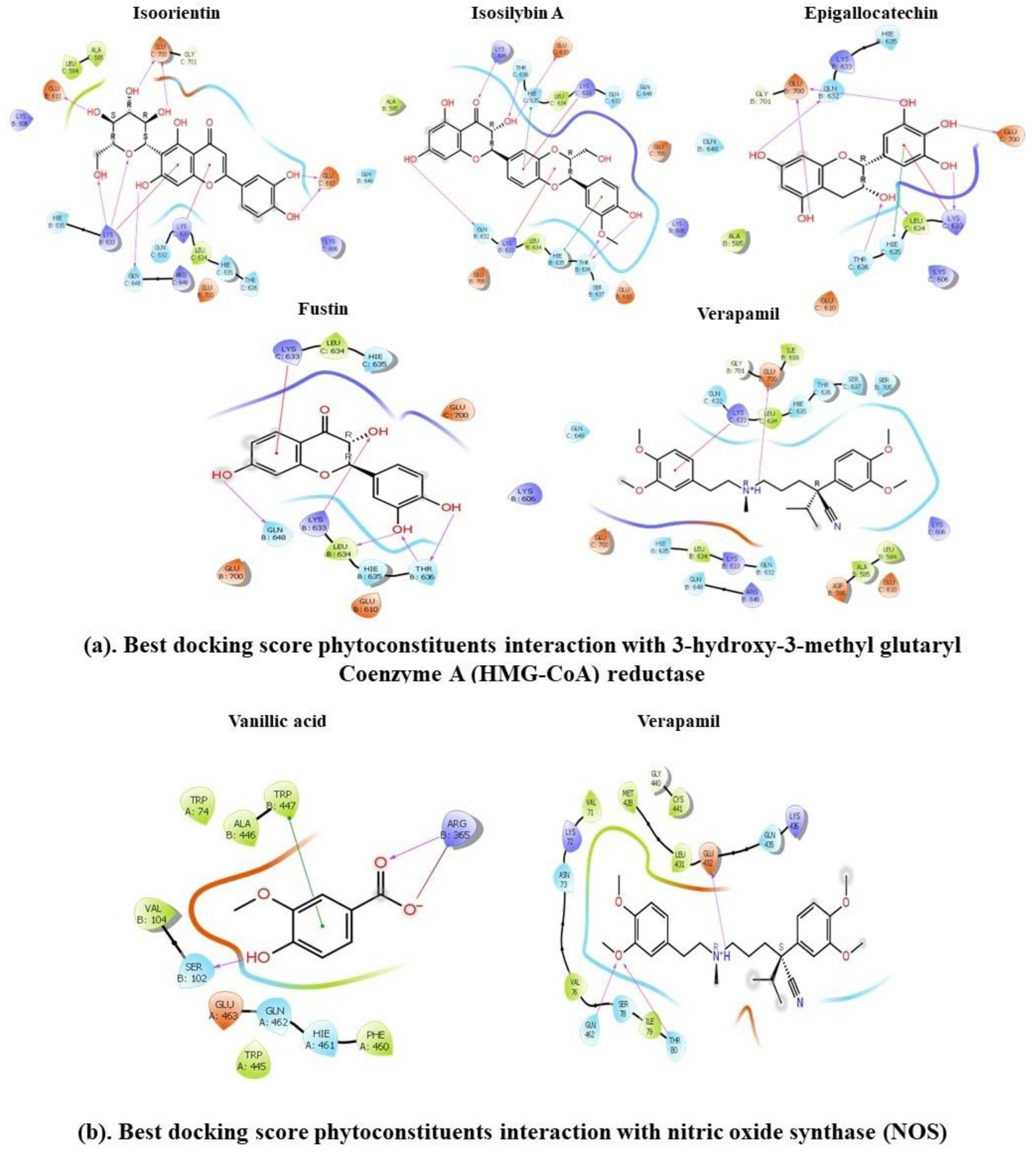 Metabolites 13 00794 g008a