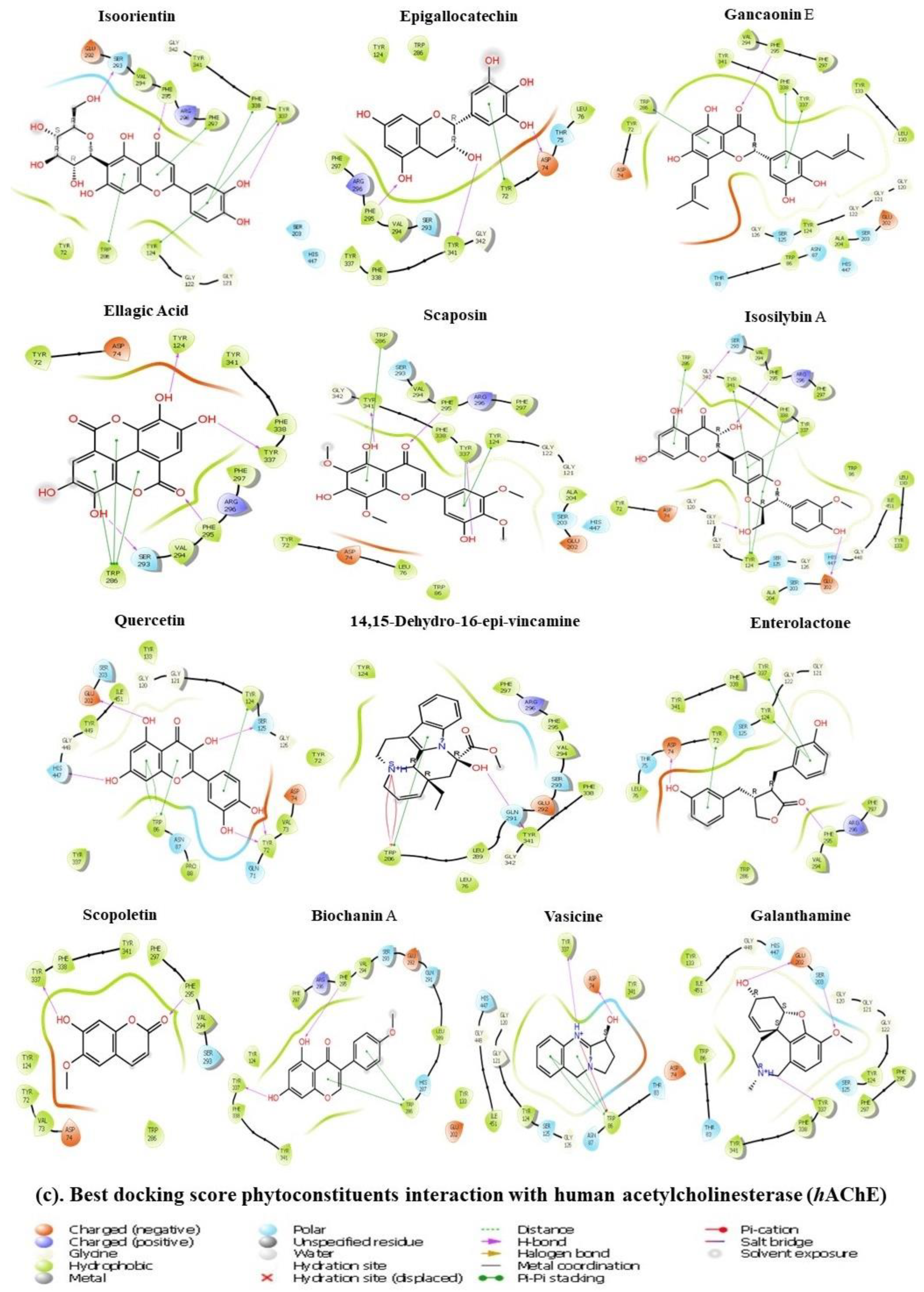 Metabolites 13 00794 g008b