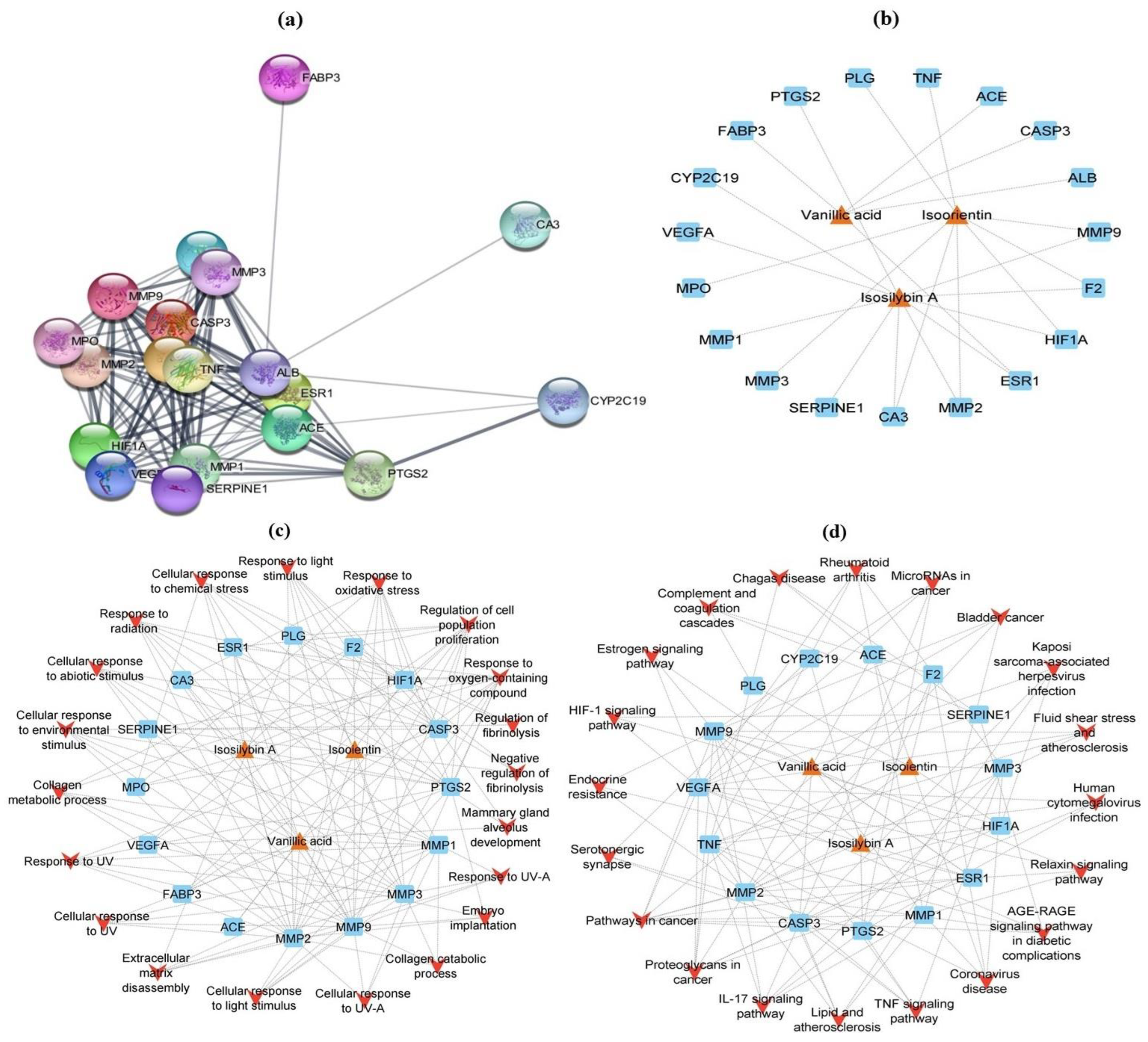 Metabolites 13 00794 g009