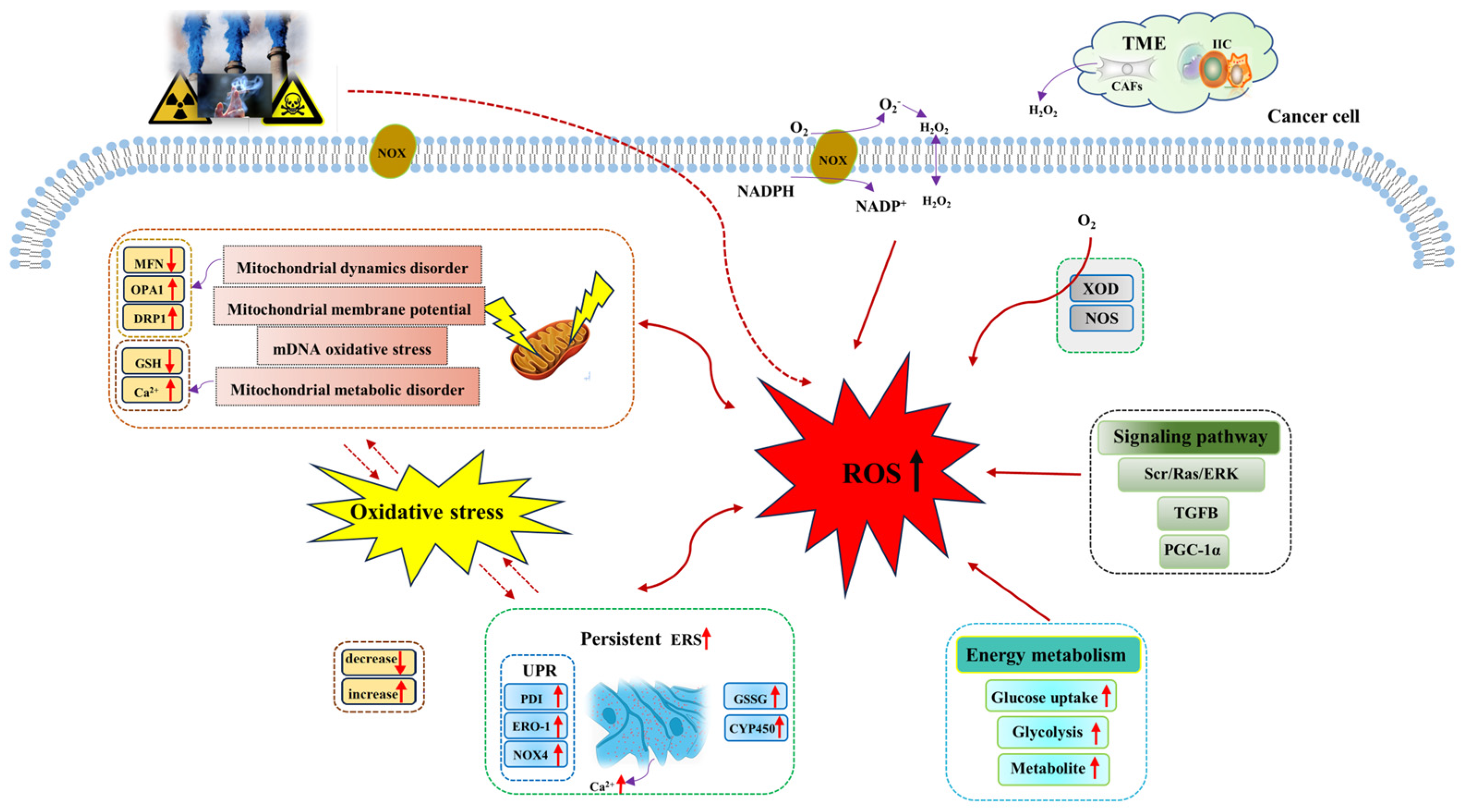 Metabolites 13 00796 g001 Metabolites 13 00796 g001