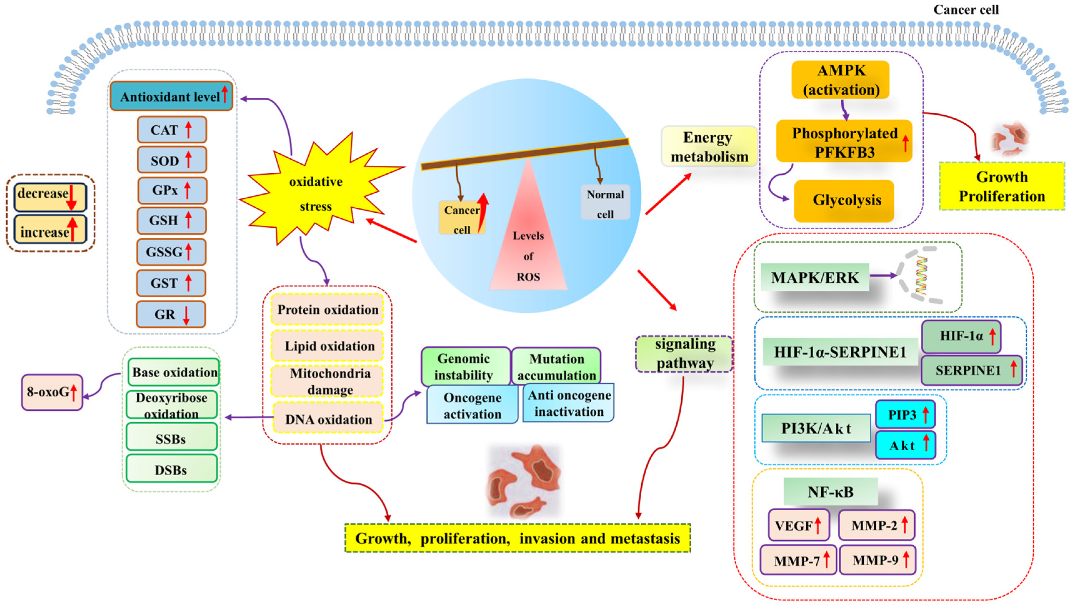 Metabolites 13 00796 g002 Metabolites 13 00796 g002
