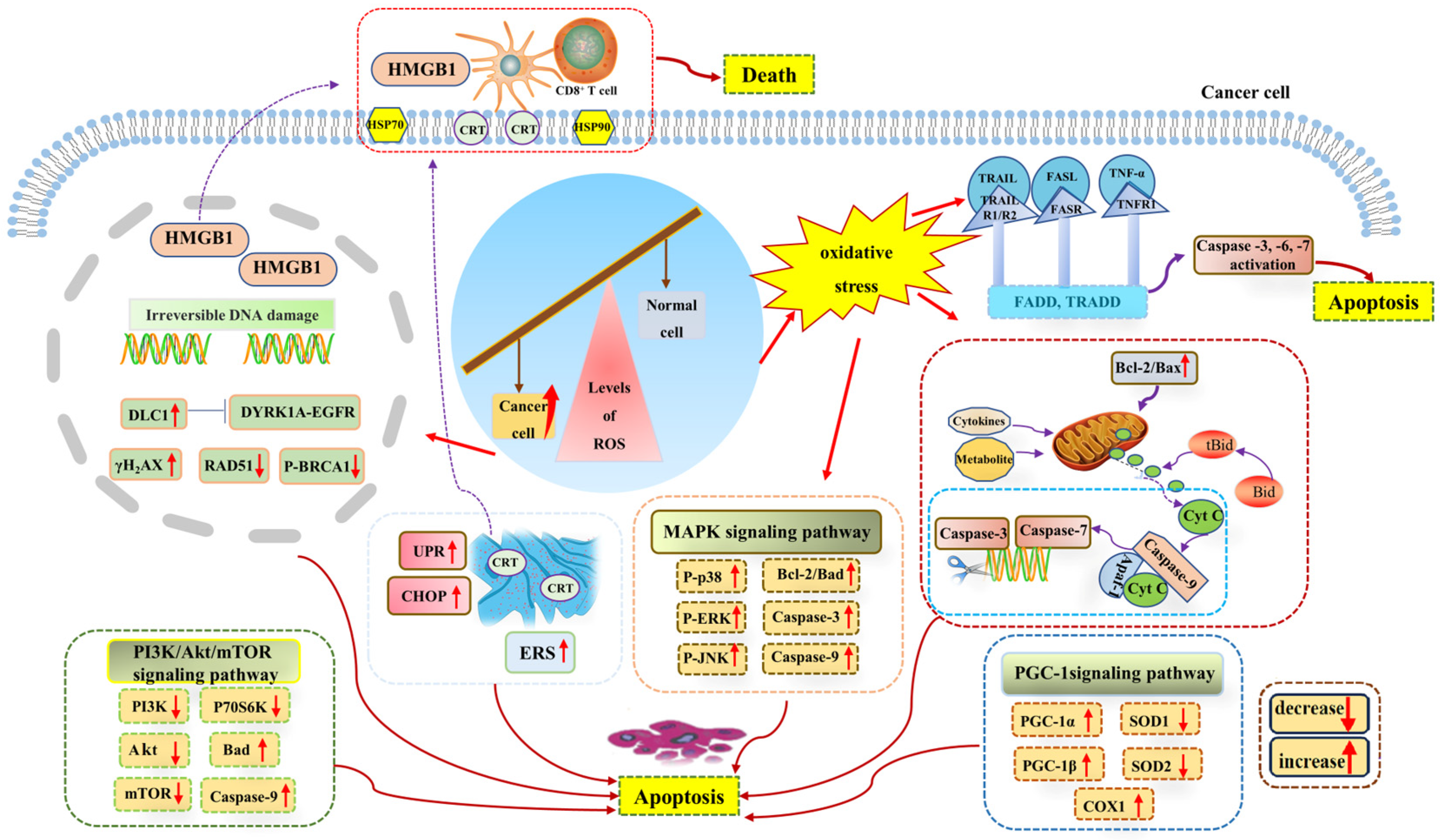 Metabolites 13 00796 g003 Metabolites 13 00796 g003