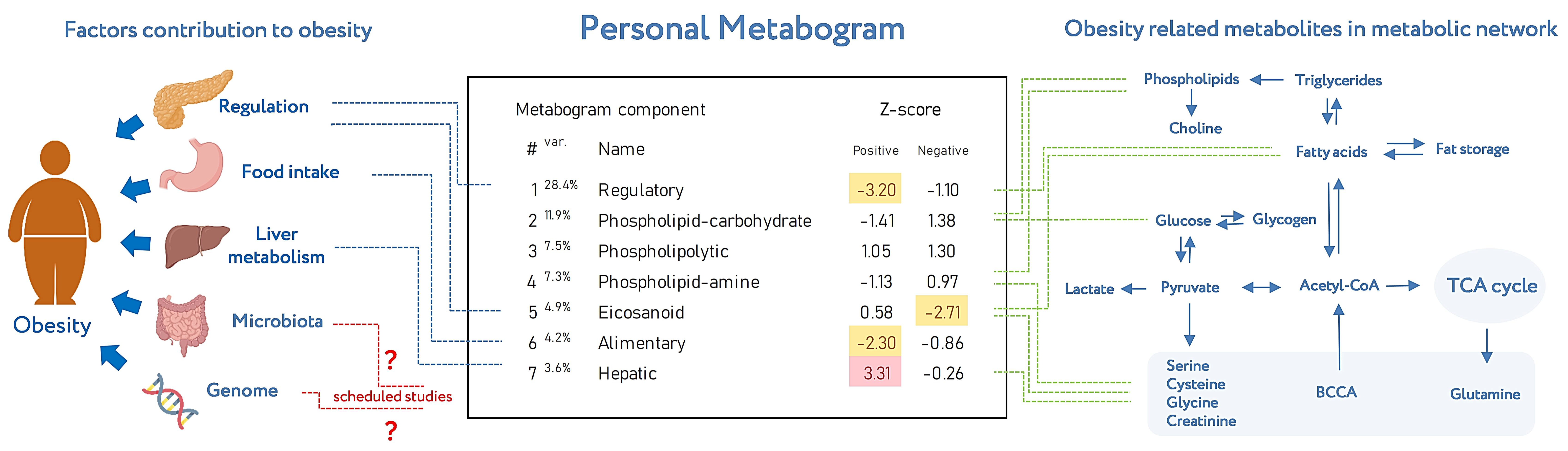 Metabolites 13 00798 g008