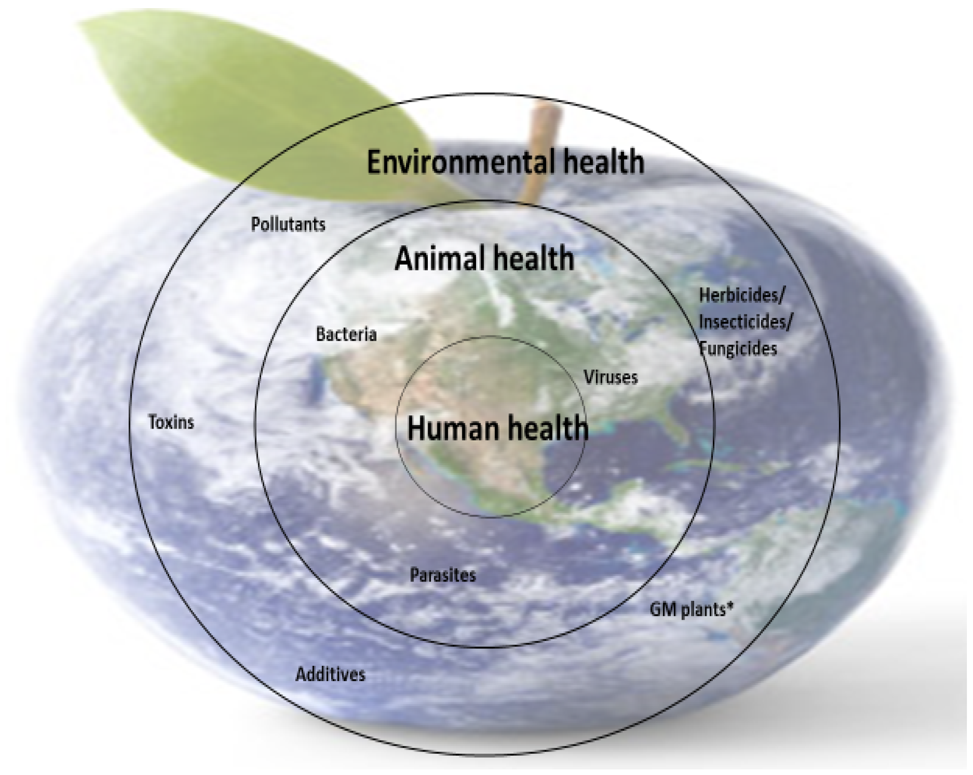 Metabolites 13 00800 g004