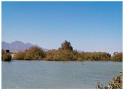 Metabolites 13 00808 i001