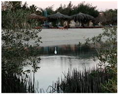 Metabolites 13 00808 i003