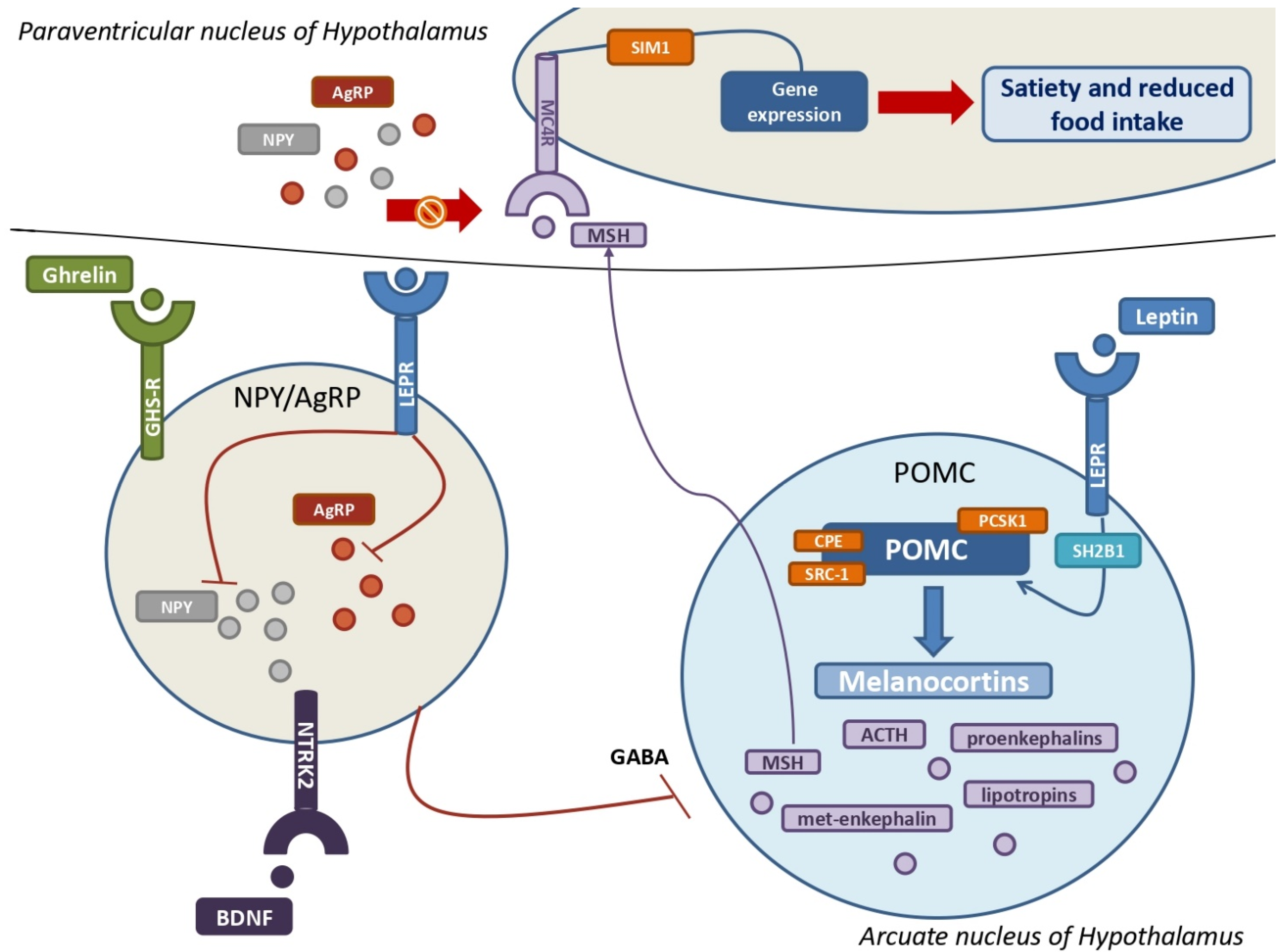 Metabolites 13 00810 g003