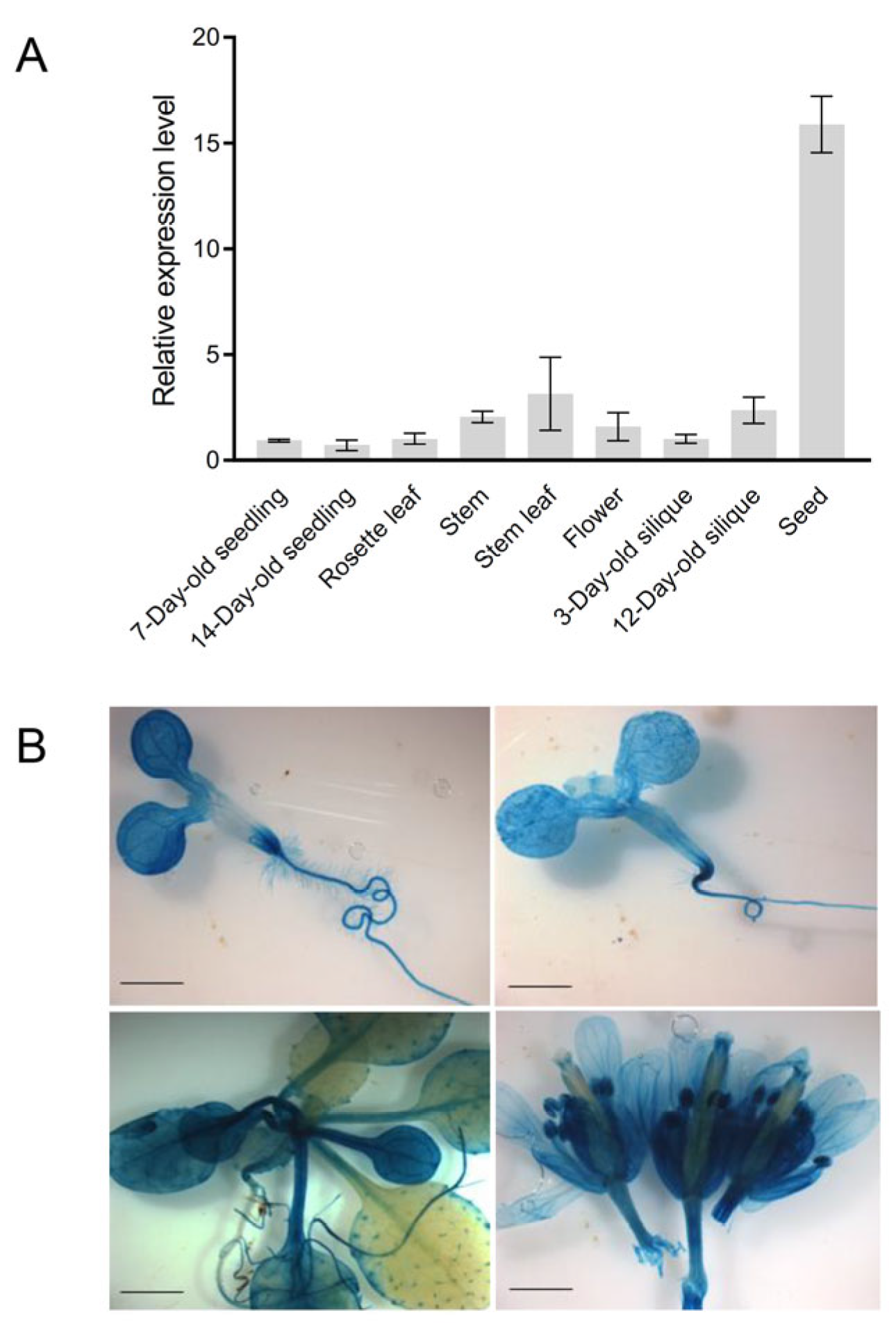 Metabolites 13 00813 g002