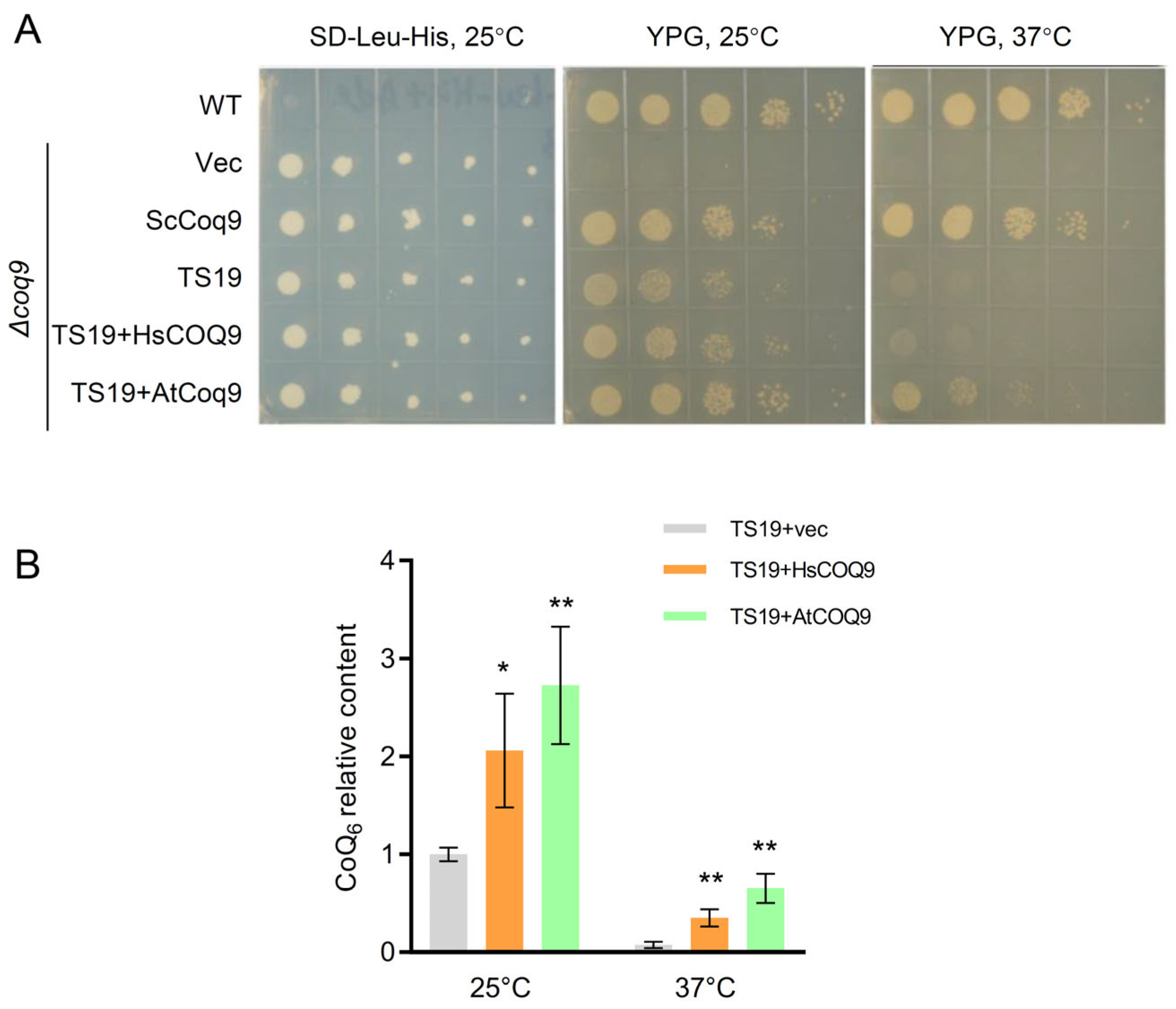 Metabolites 13 00813 g004