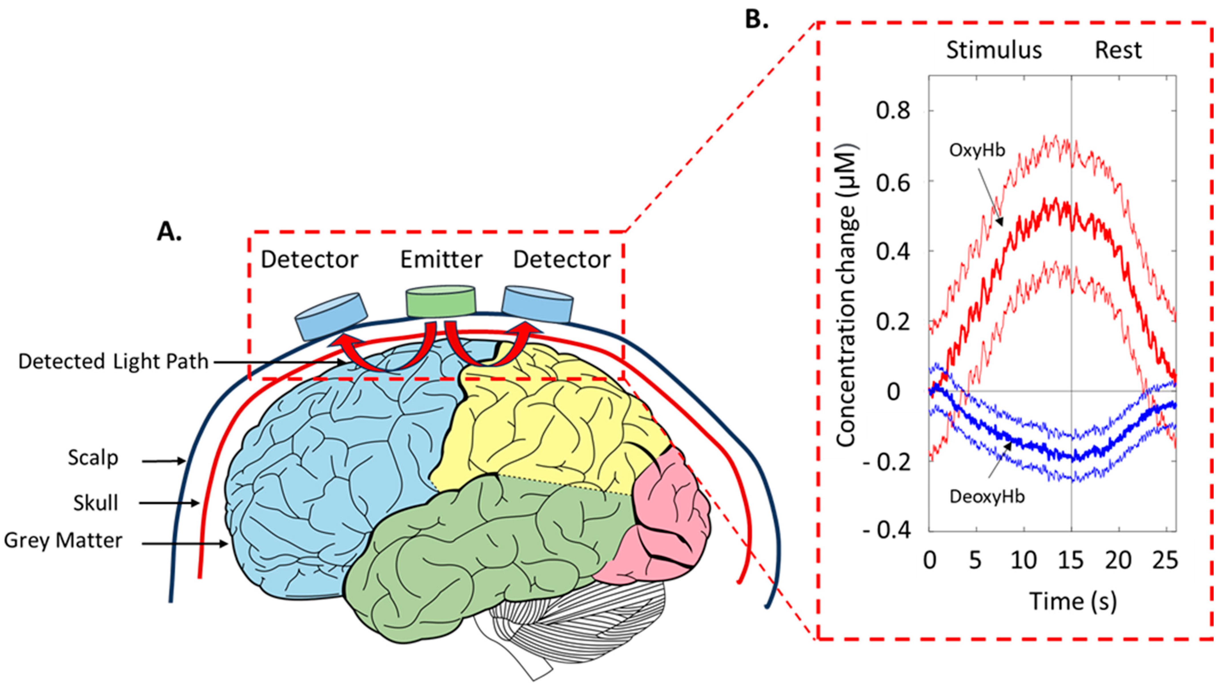Metabolites 13 00814 g001