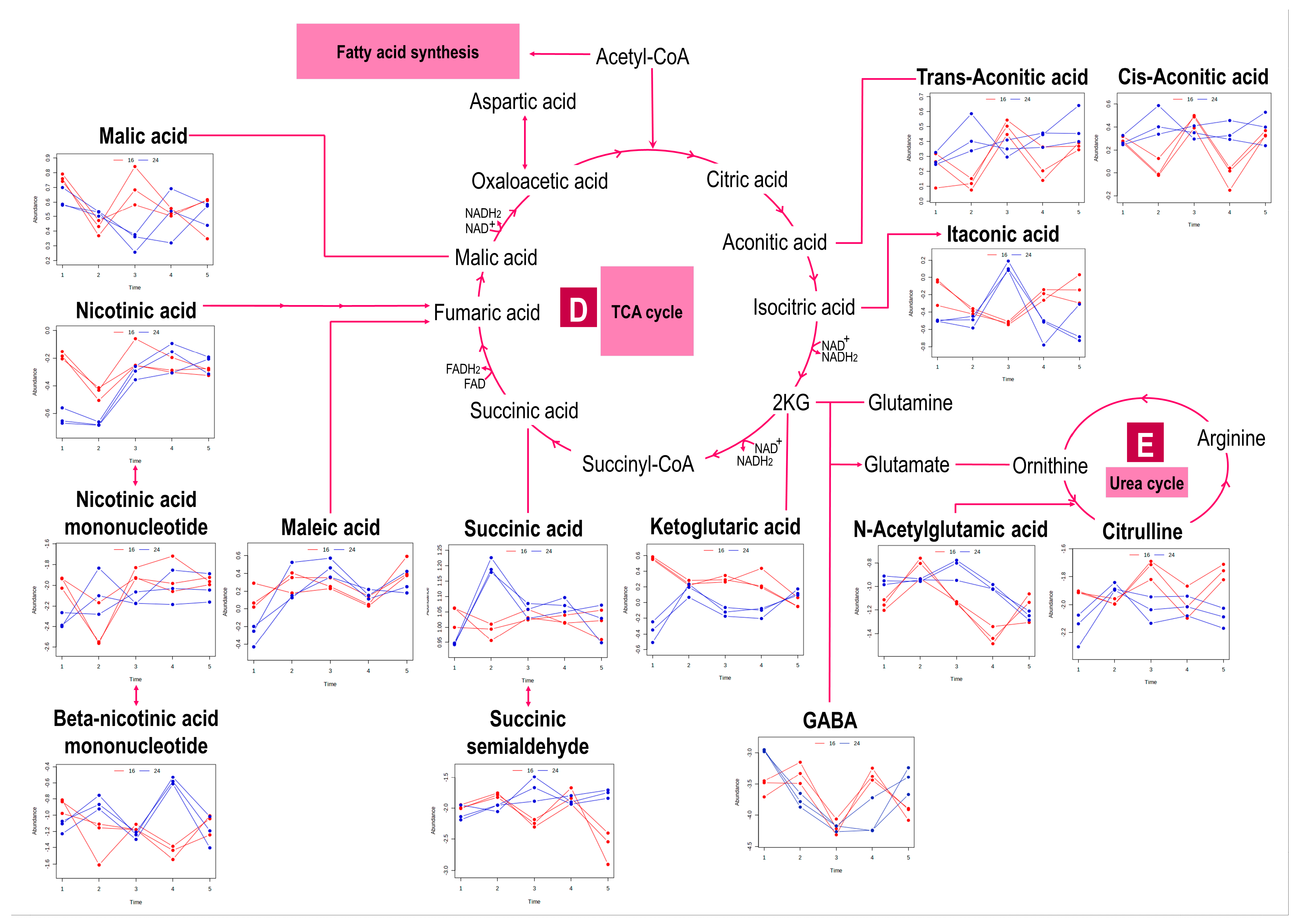 Metabolites 13 00815 g003b Metabolites 13 00815 g003b