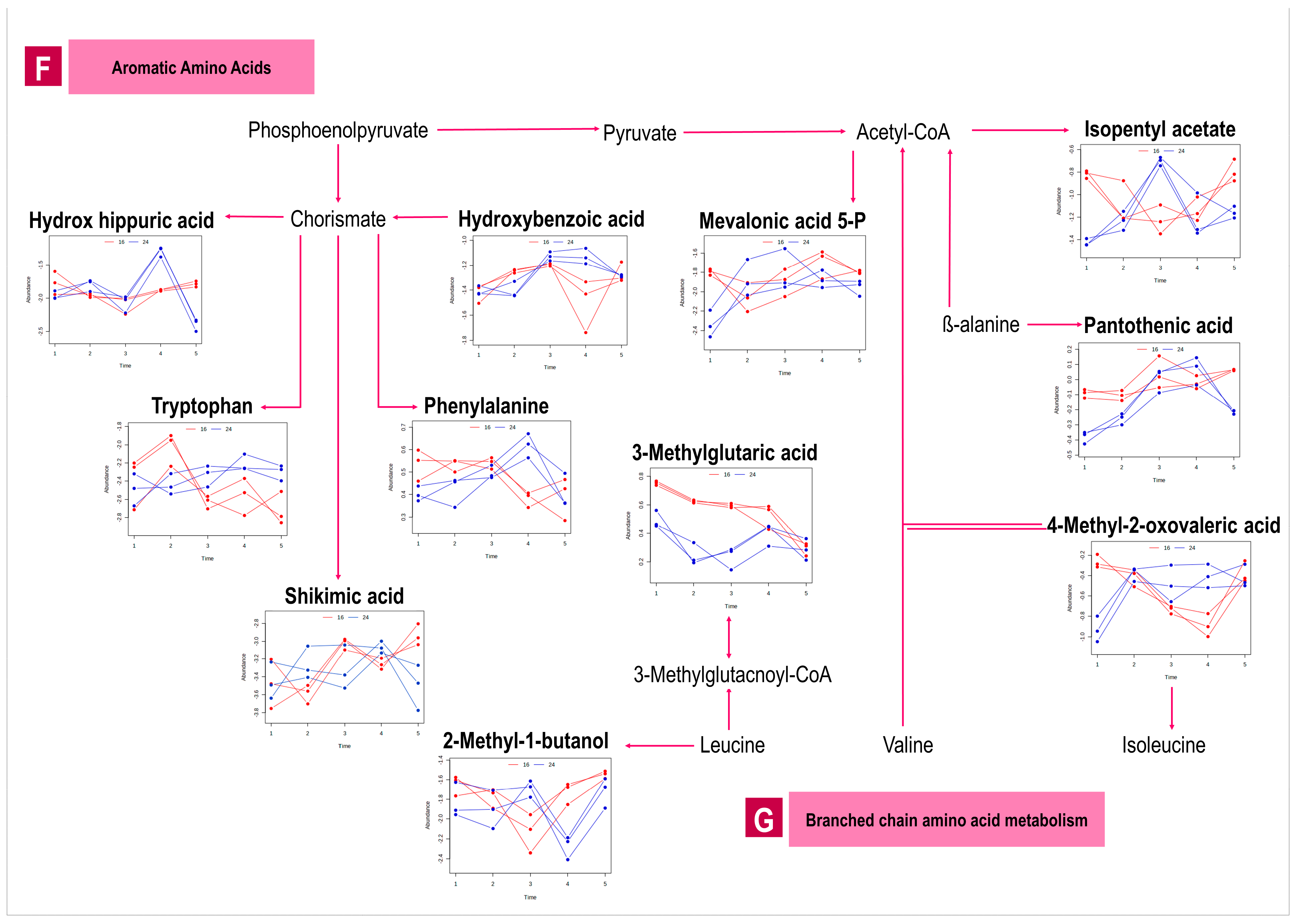 Metabolites 13 00815 g003c Metabolites 13 00815 g003c