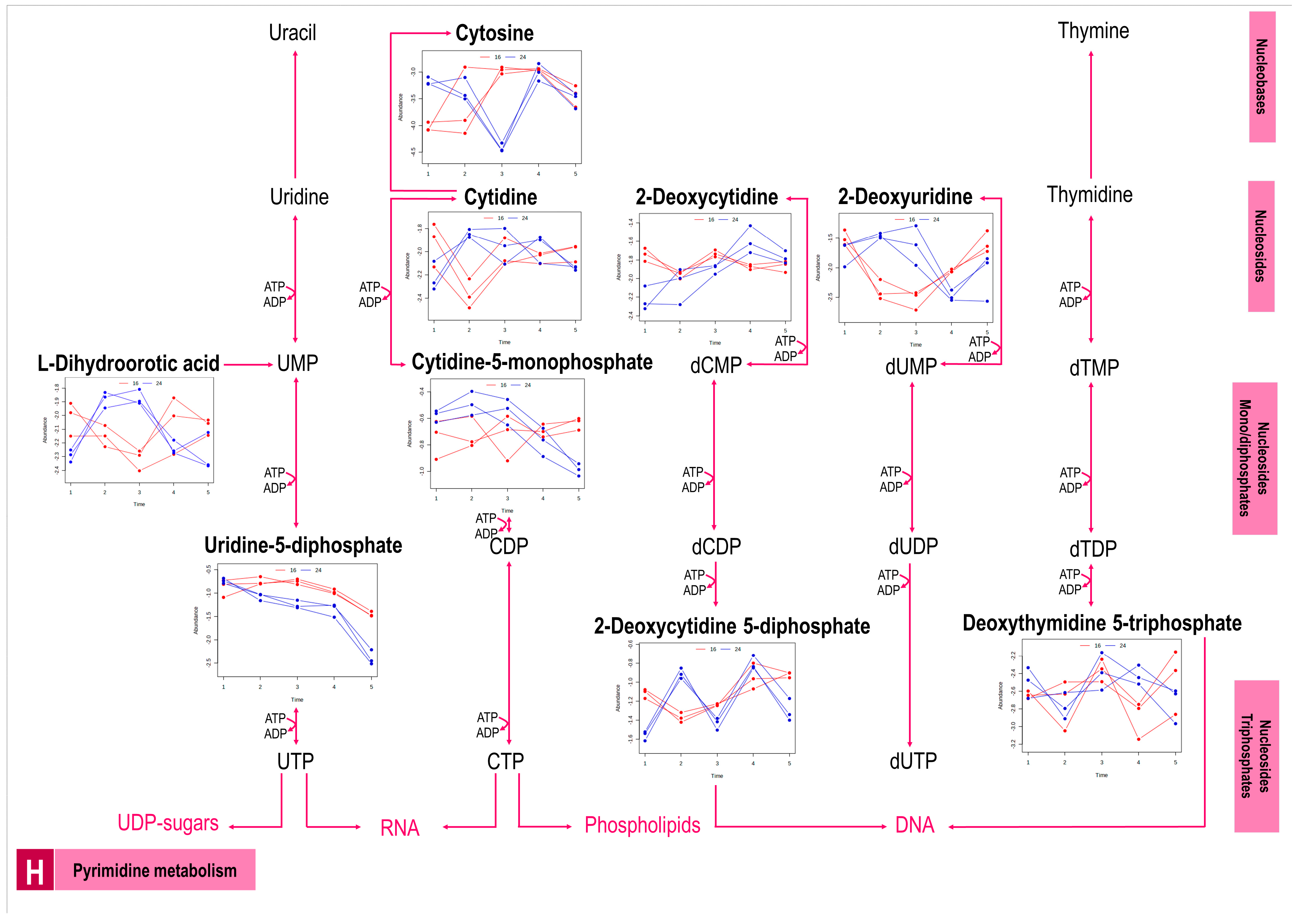 Metabolites 13 00815 g003d Metabolites 13 00815 g003d