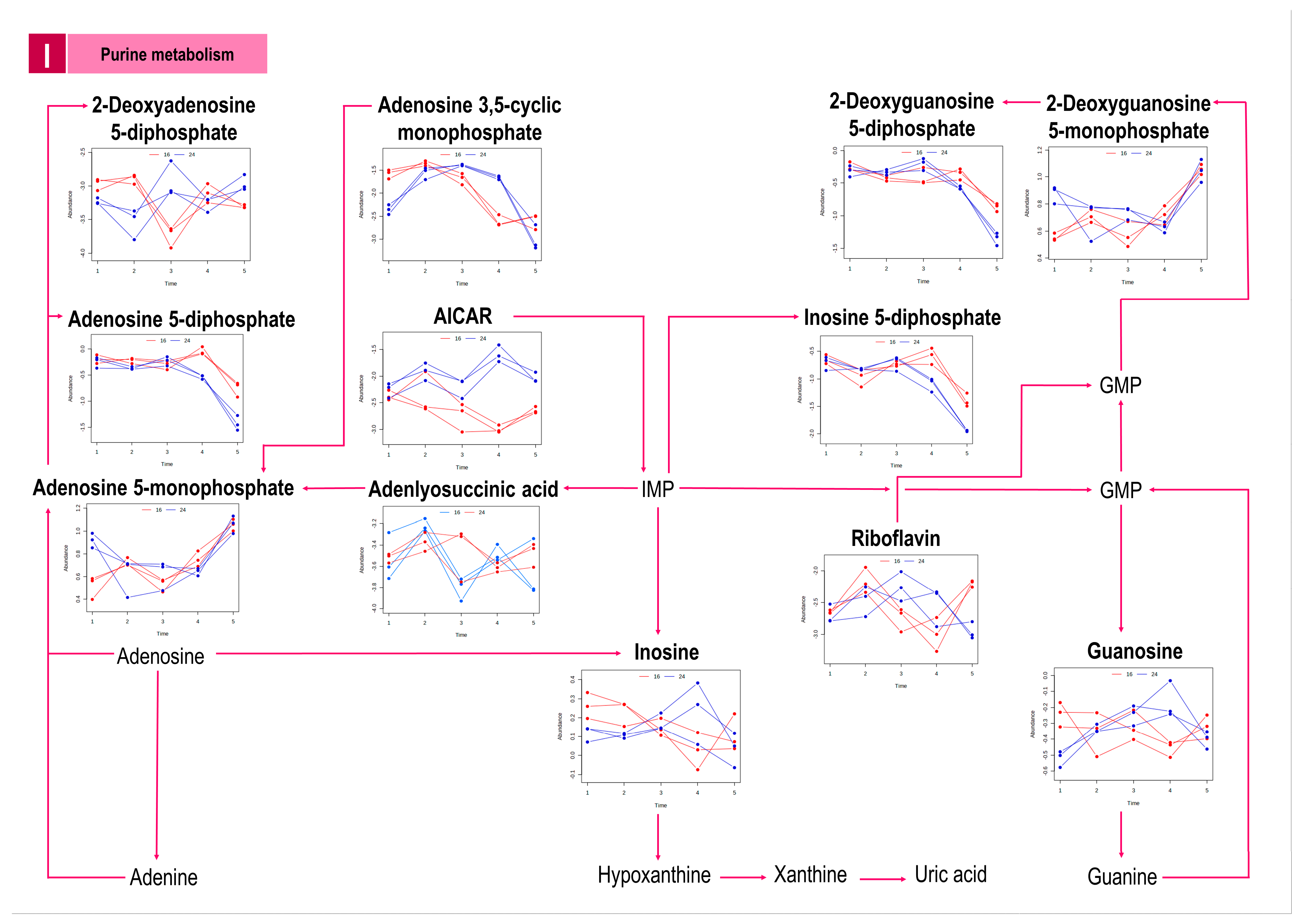 Metabolites 13 00815 g003e Metabolites 13 00815 g003e