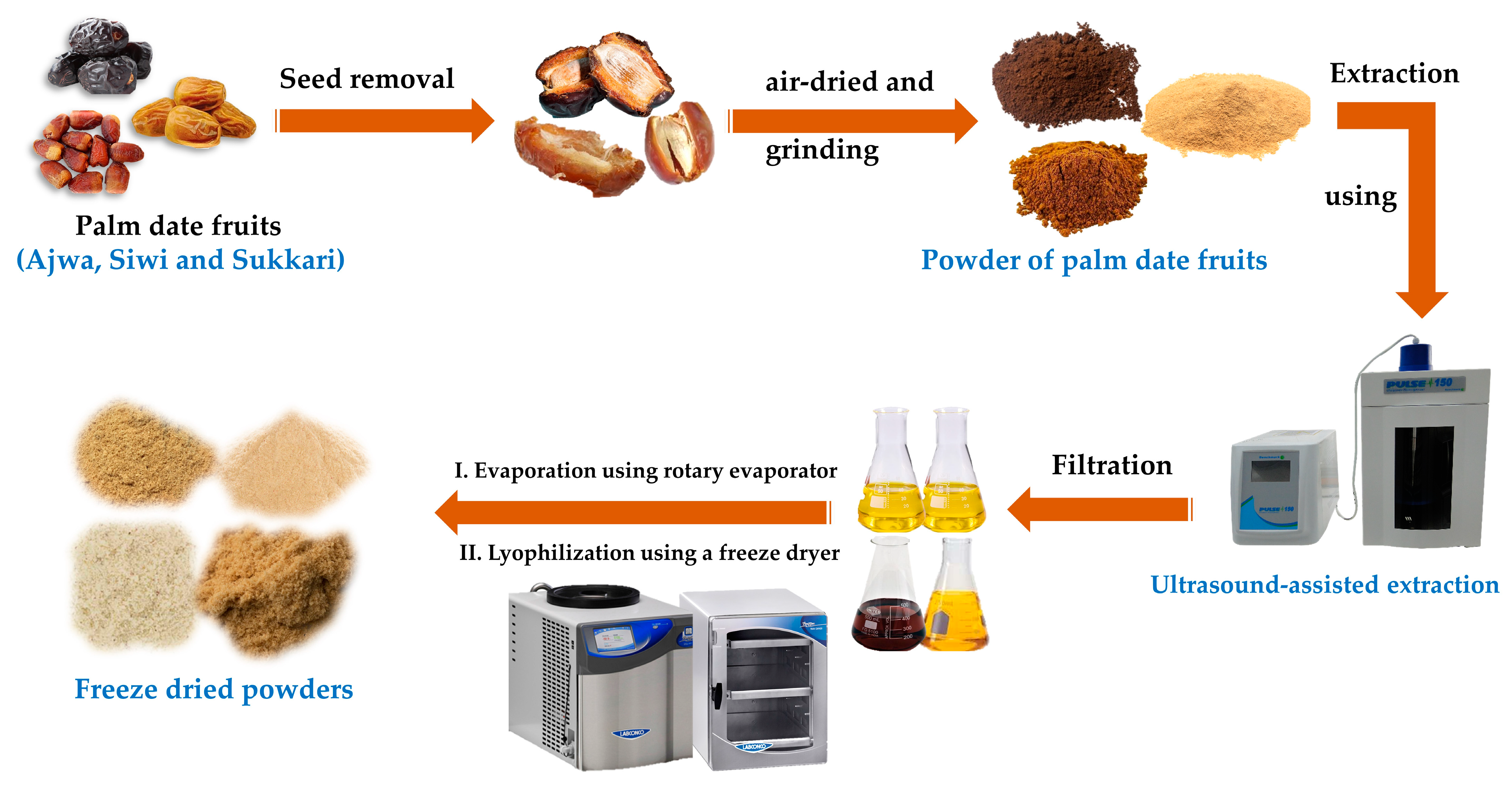 Metabolites 13 00816 g001