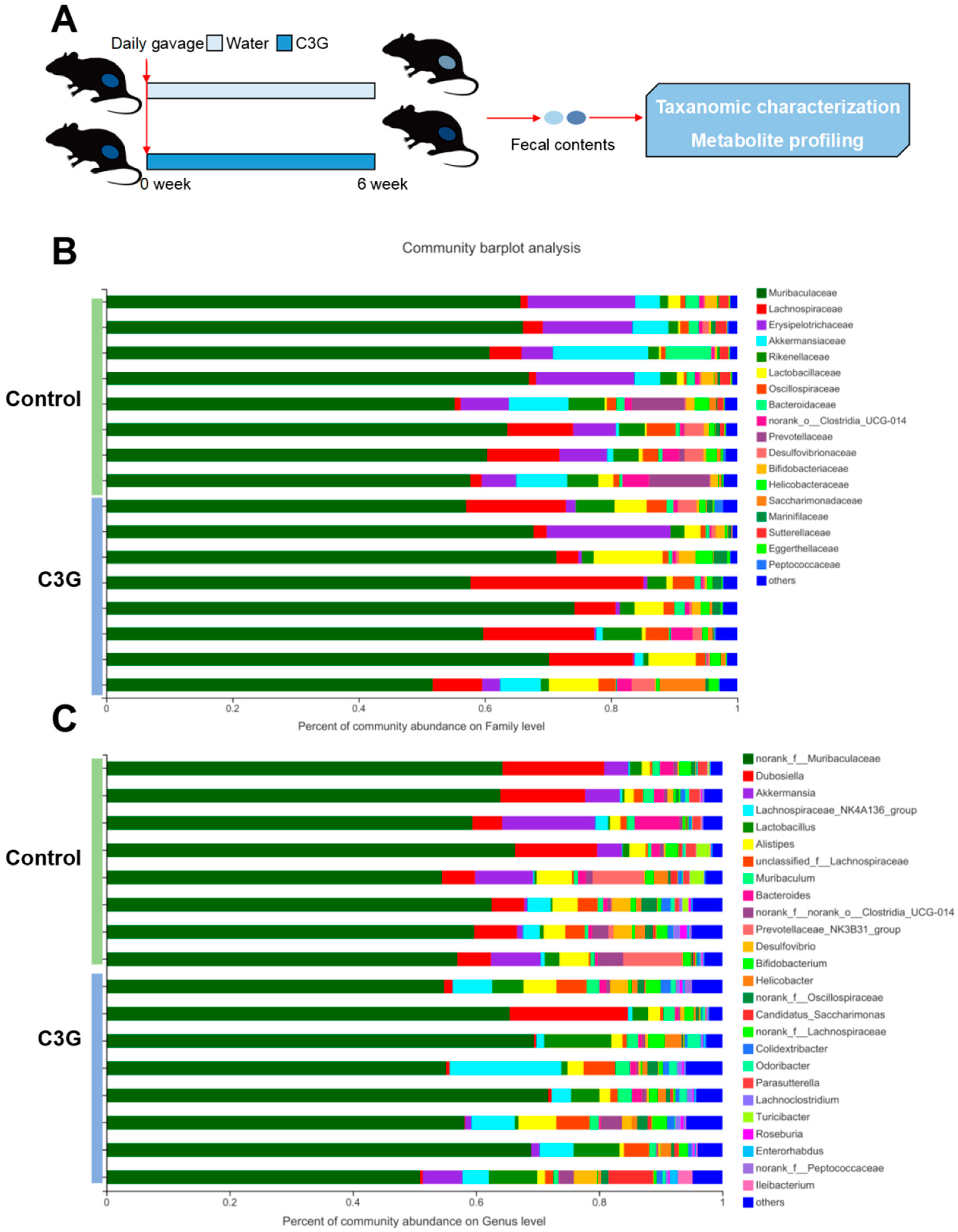 Metabolites 13 00818 g001