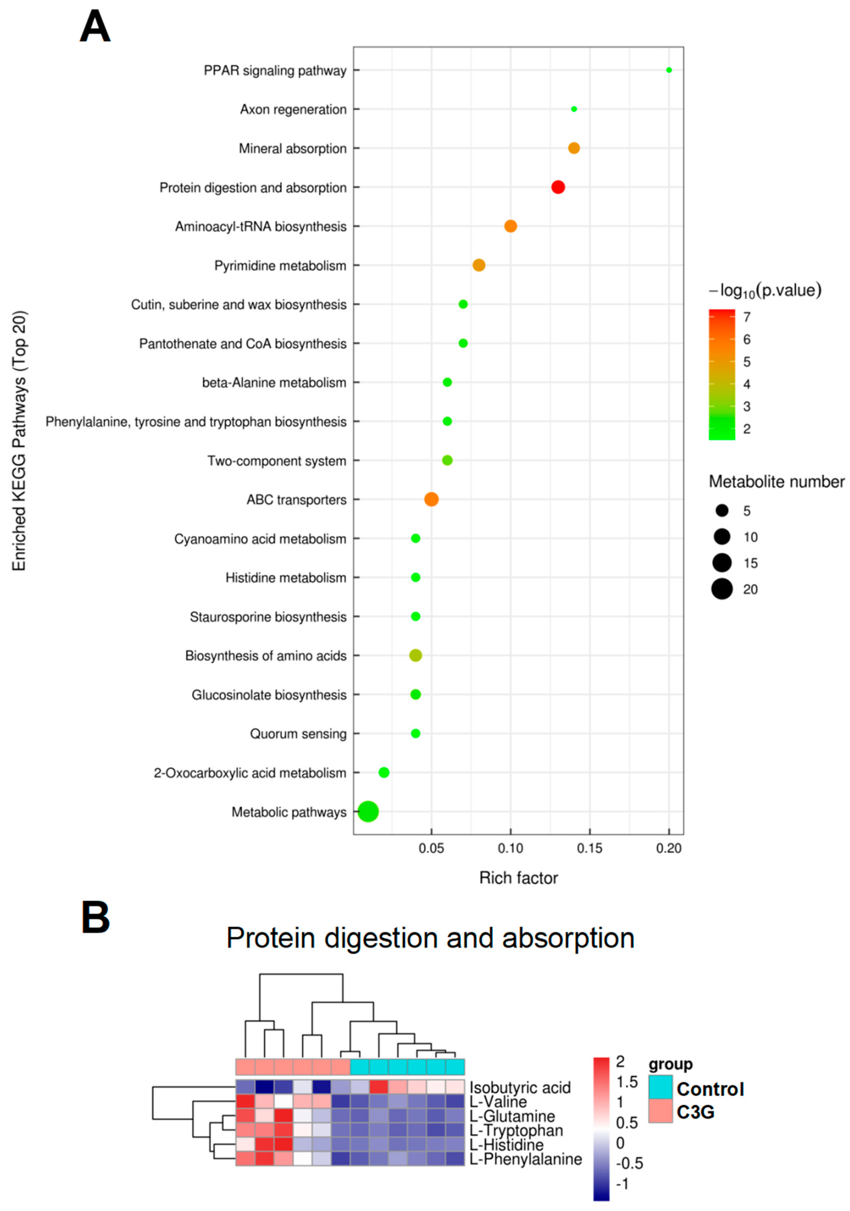 Metabolites 13 00818 g006