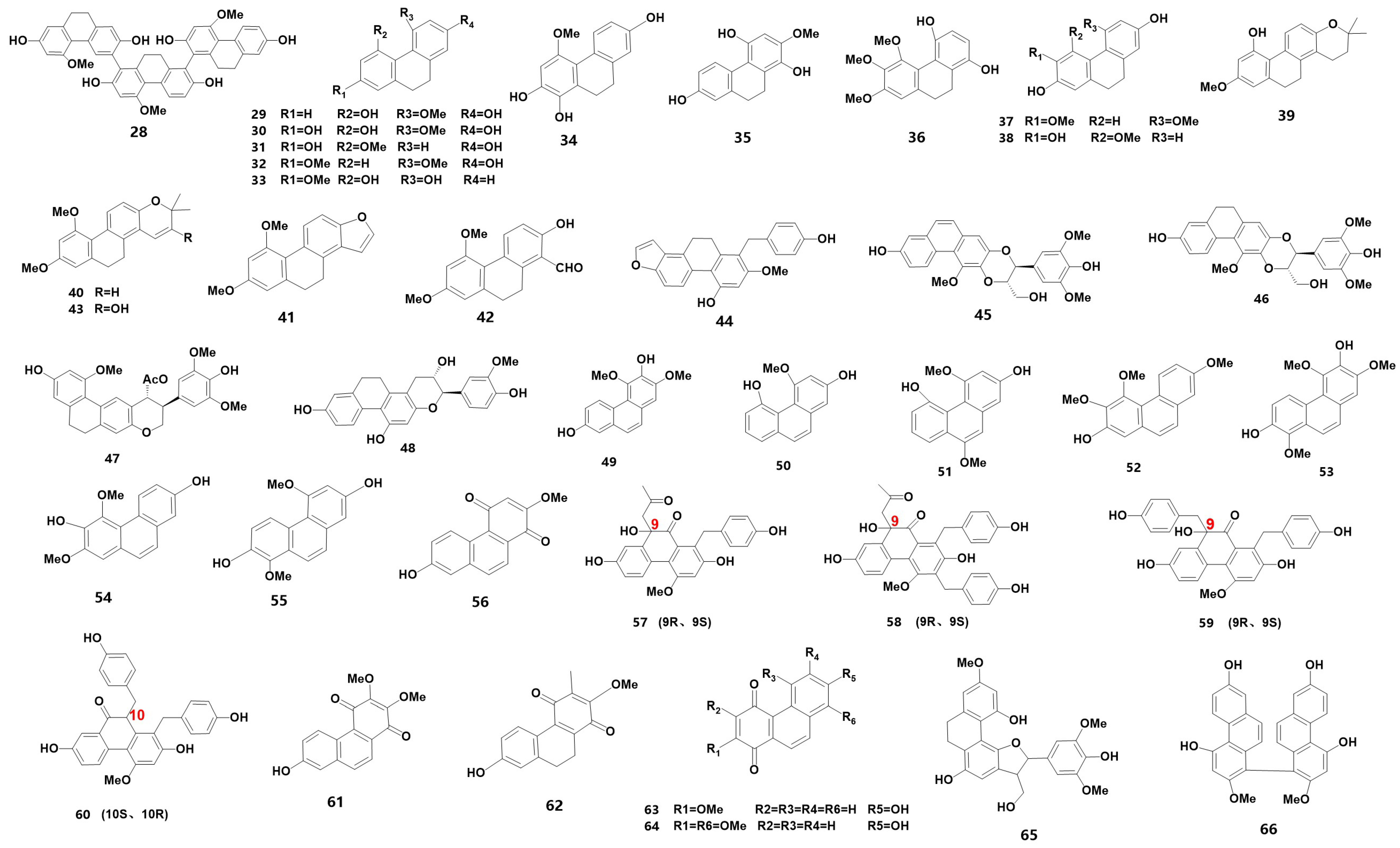 Metabolites 13 00829 g002