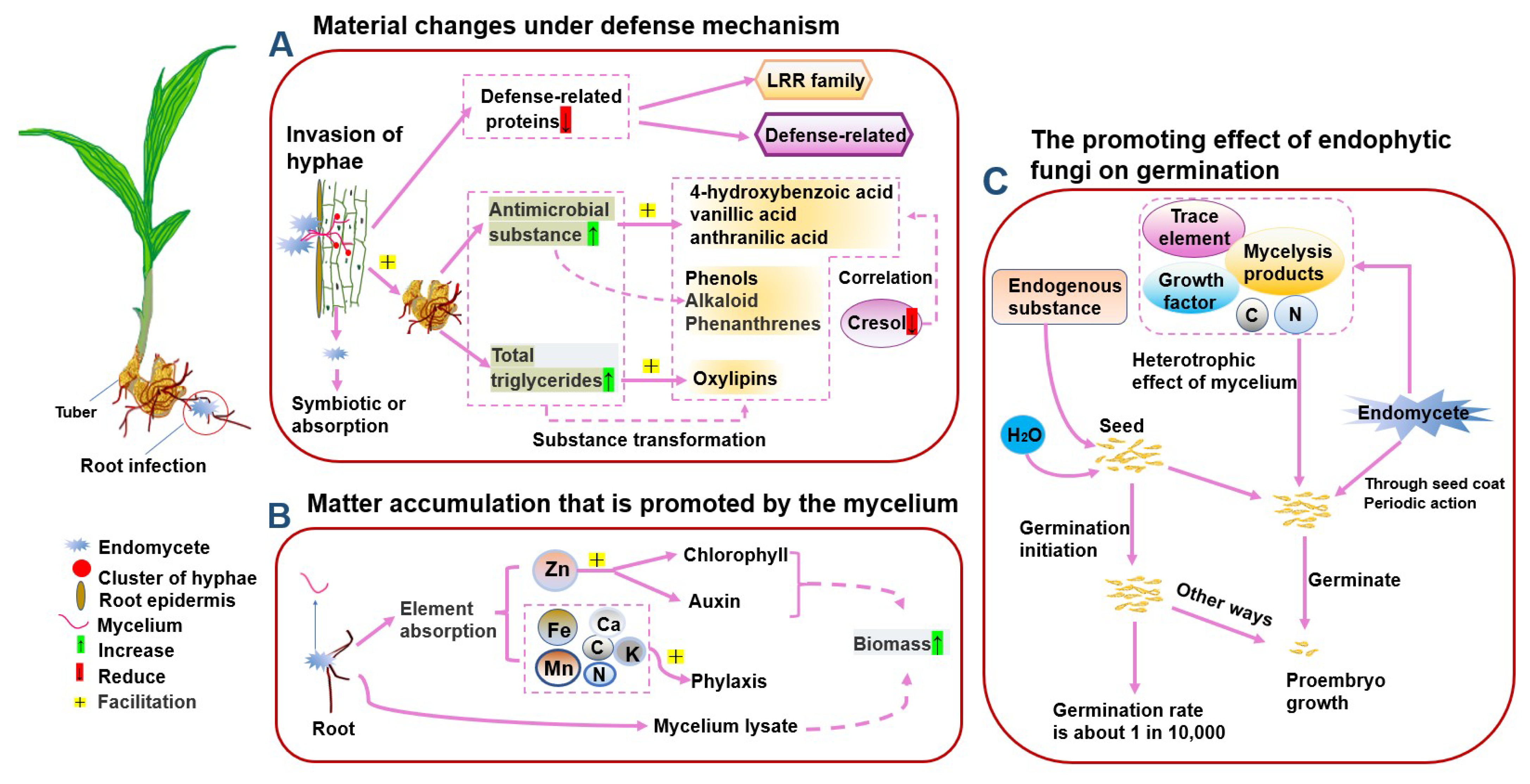 Metabolites 13 00829 g005