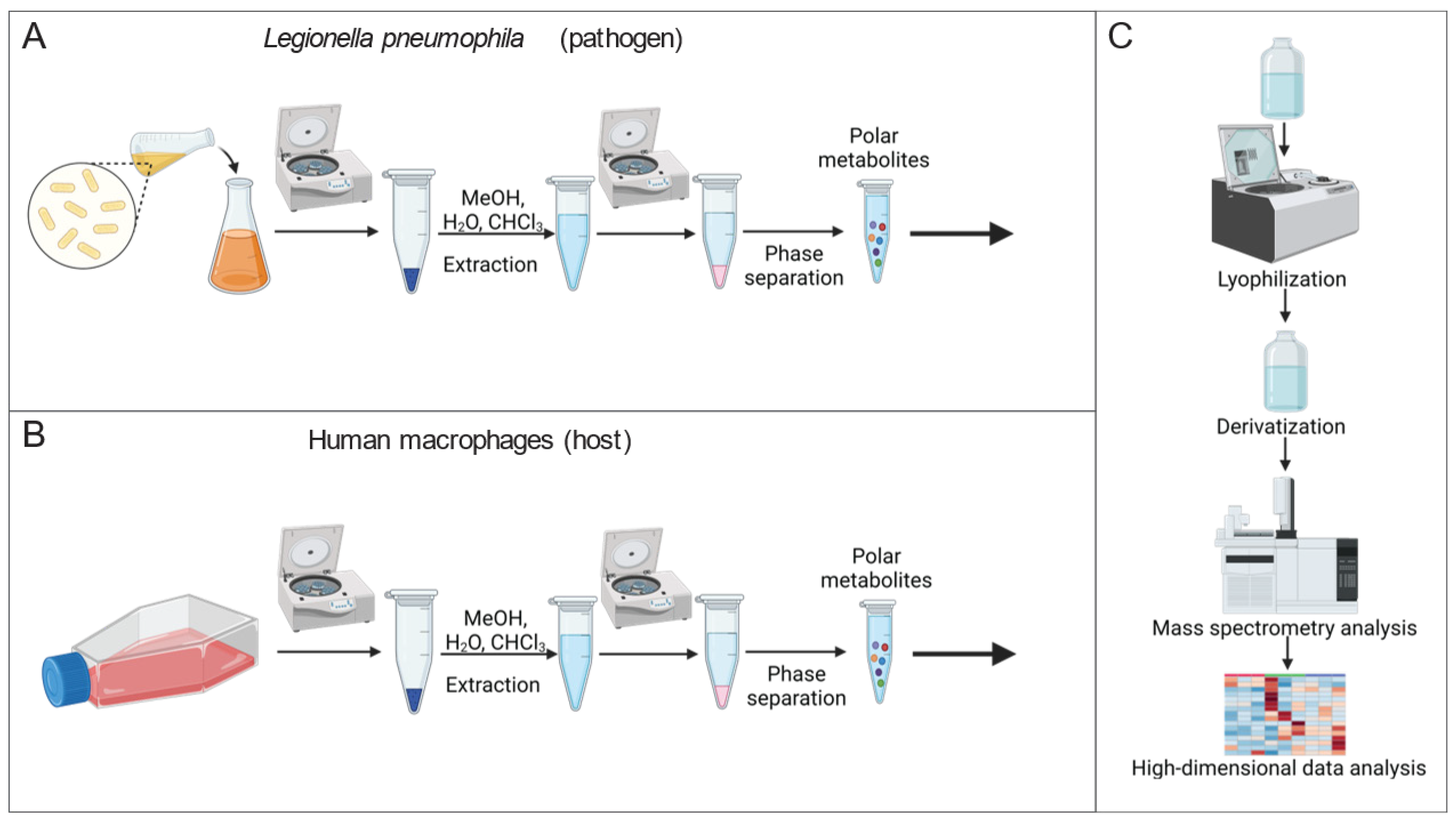 Metabolites 13 00834 g001