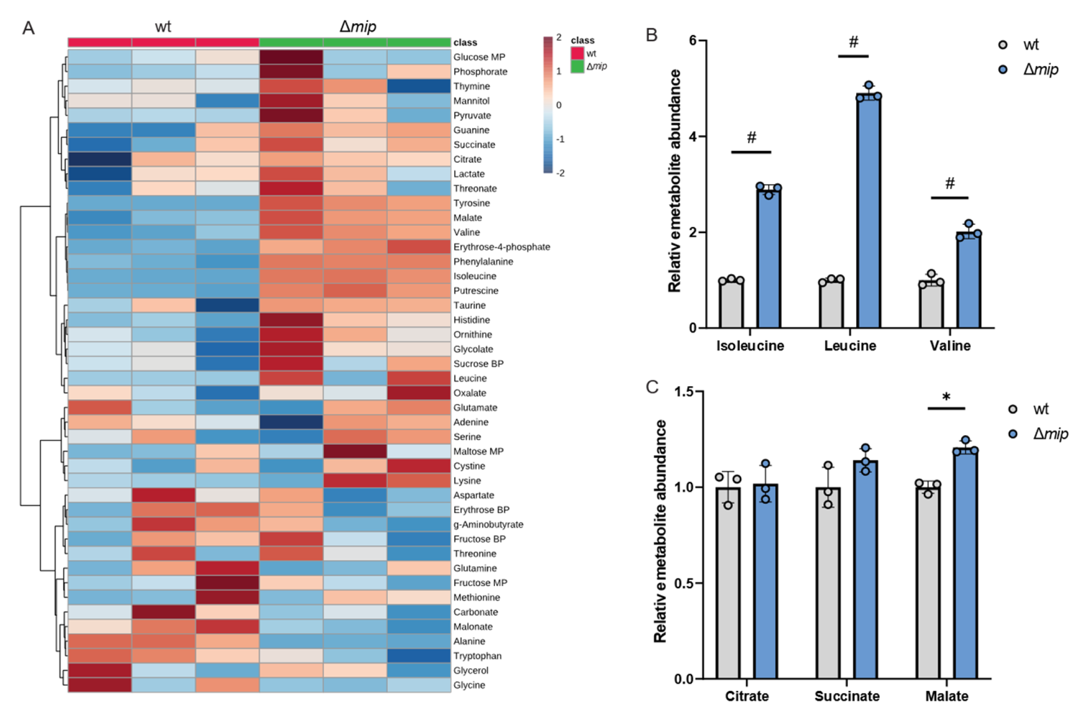 Metabolites 13 00834 g003