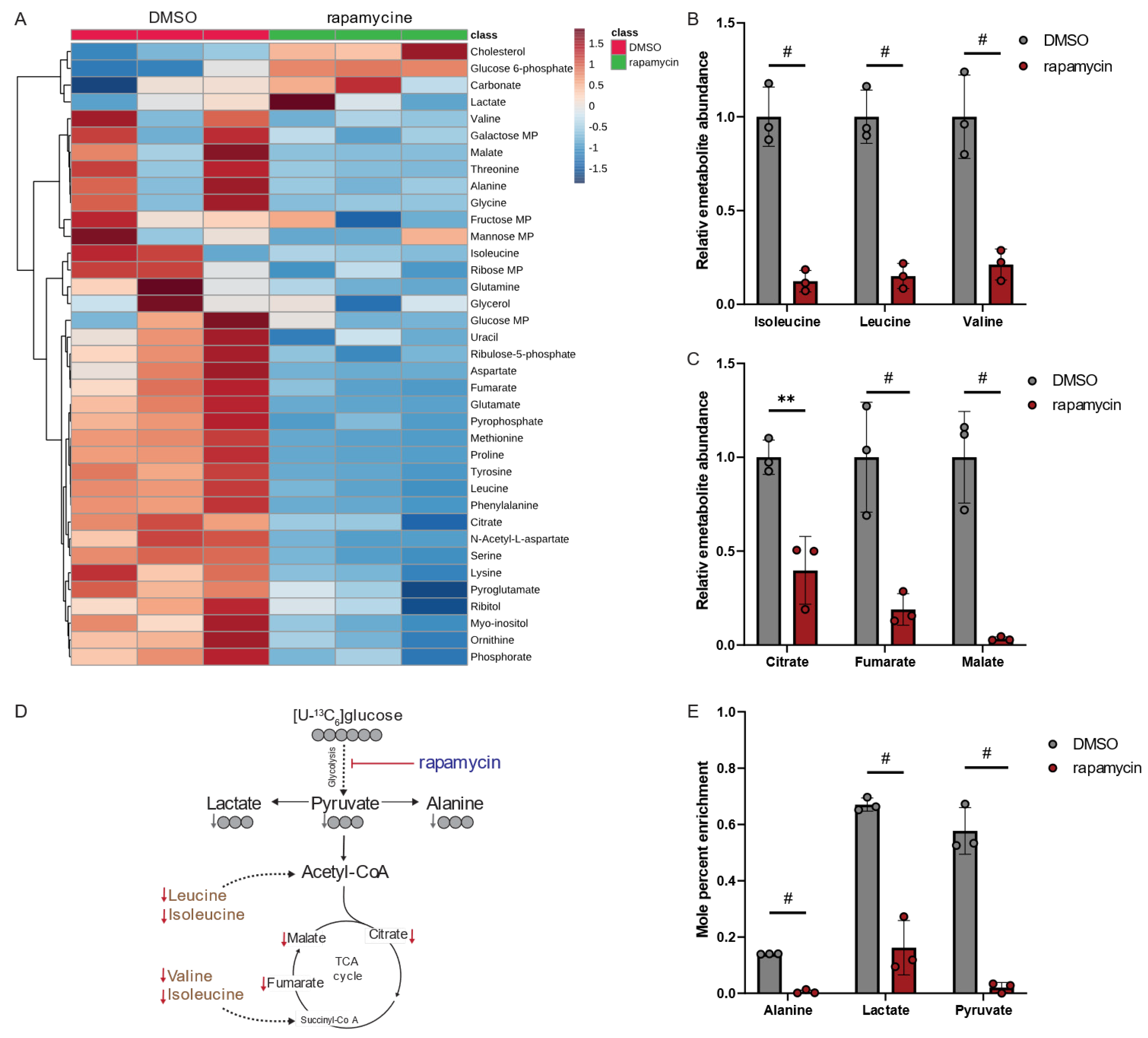 Metabolites 13 00834 g005