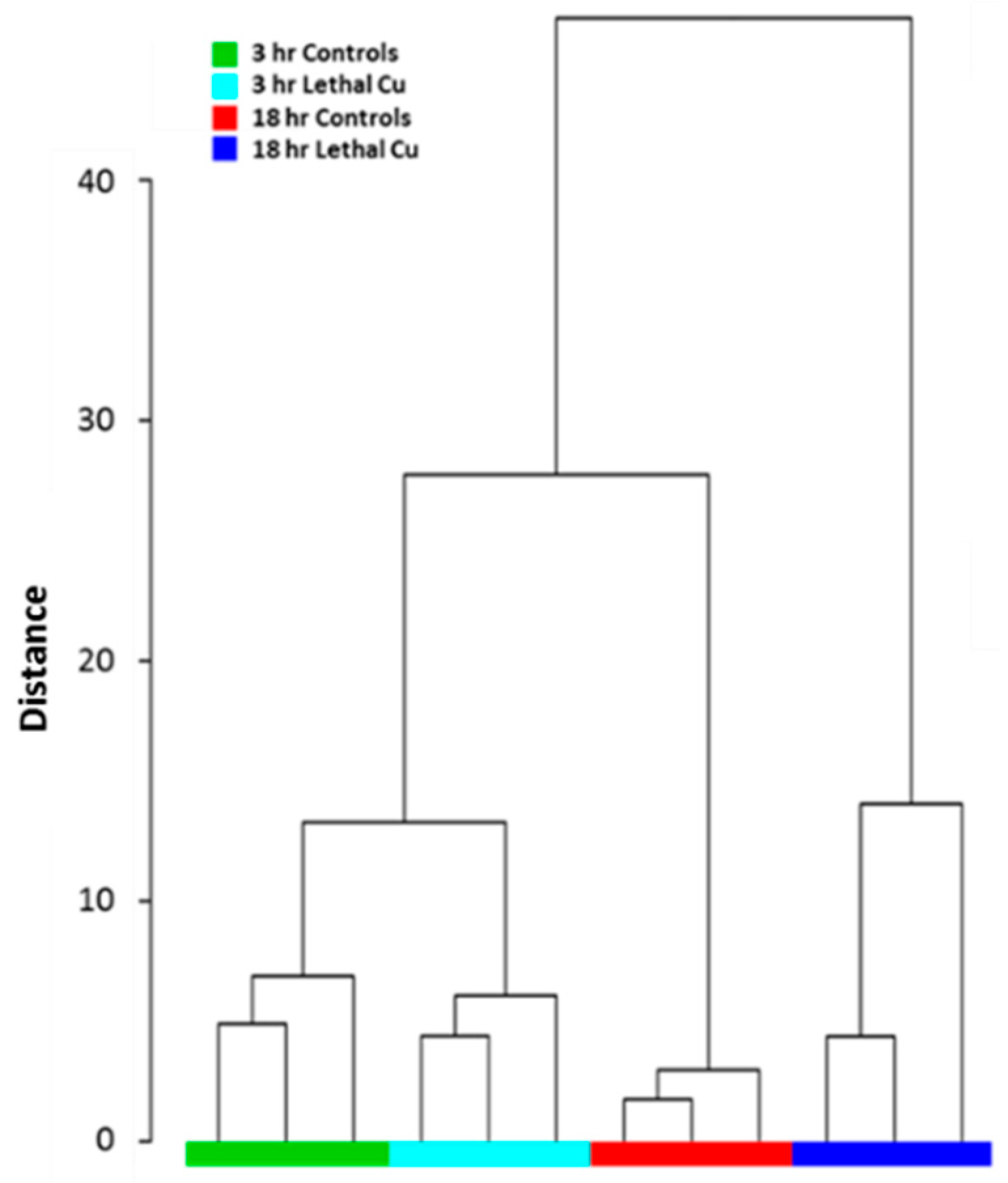 Metabolites 13 00838 g002