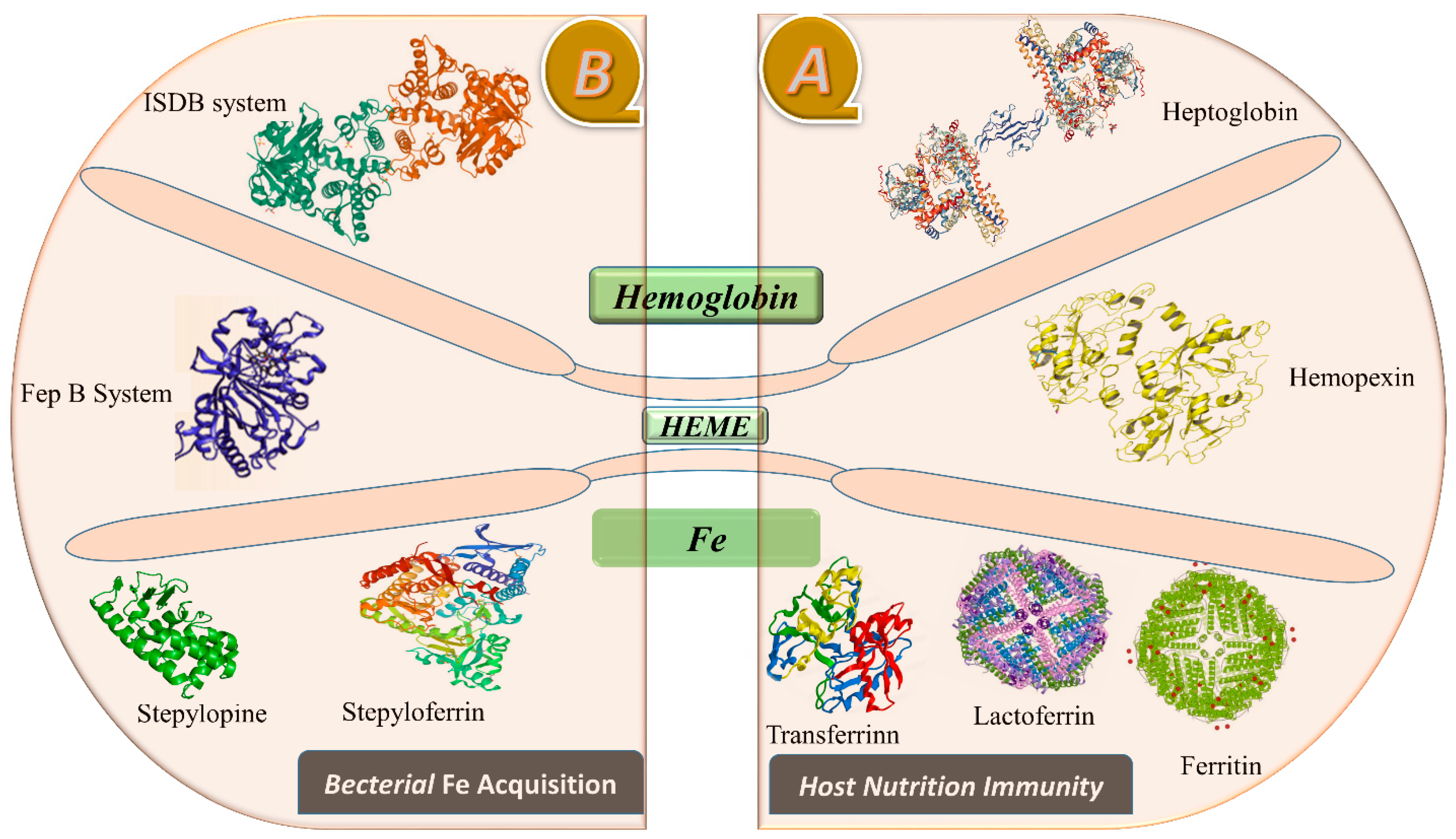 Metabolites 13 00839 g001