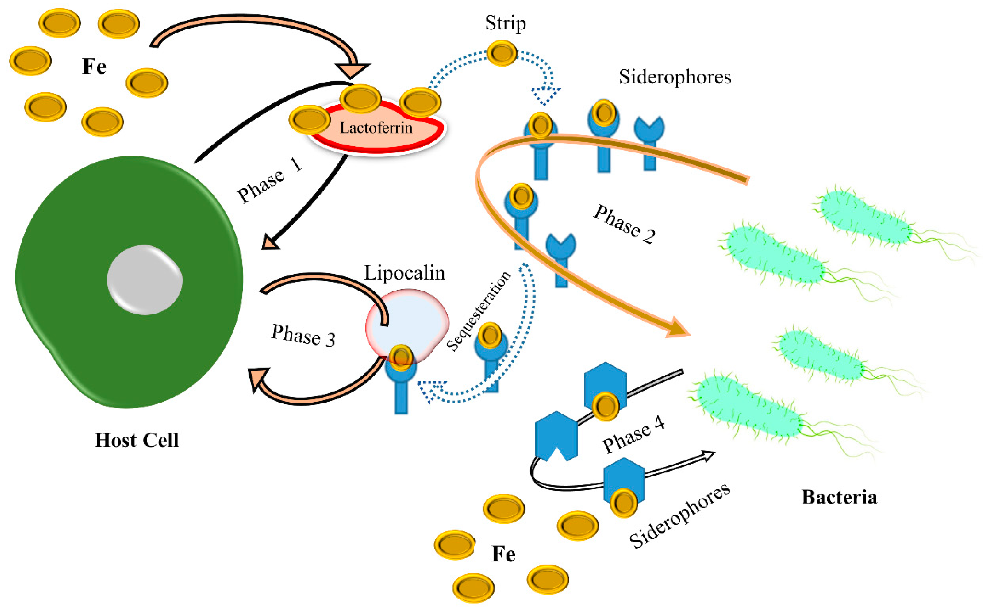 Metabolites 13 00839 g002