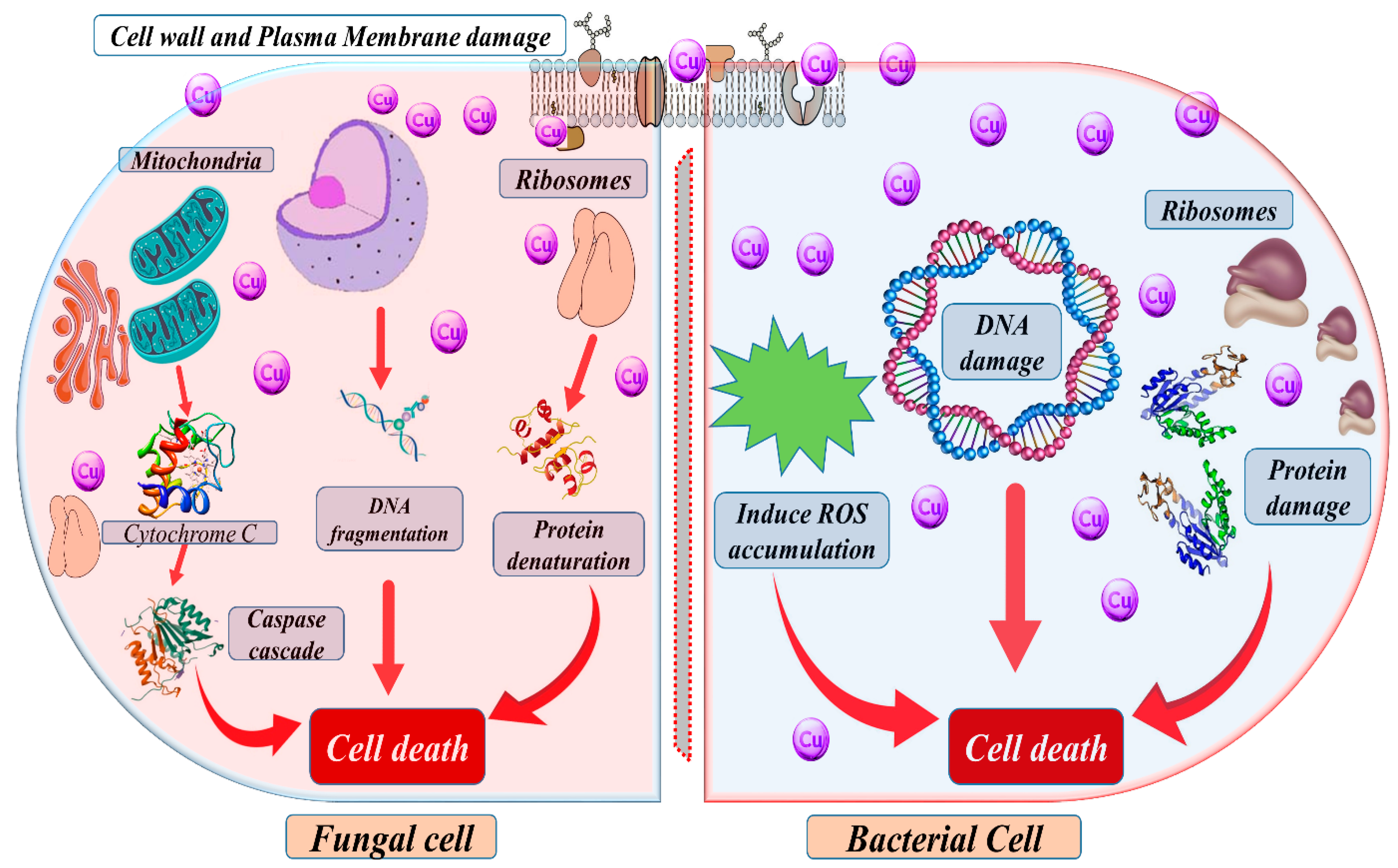 Metabolites 13 00839 g003