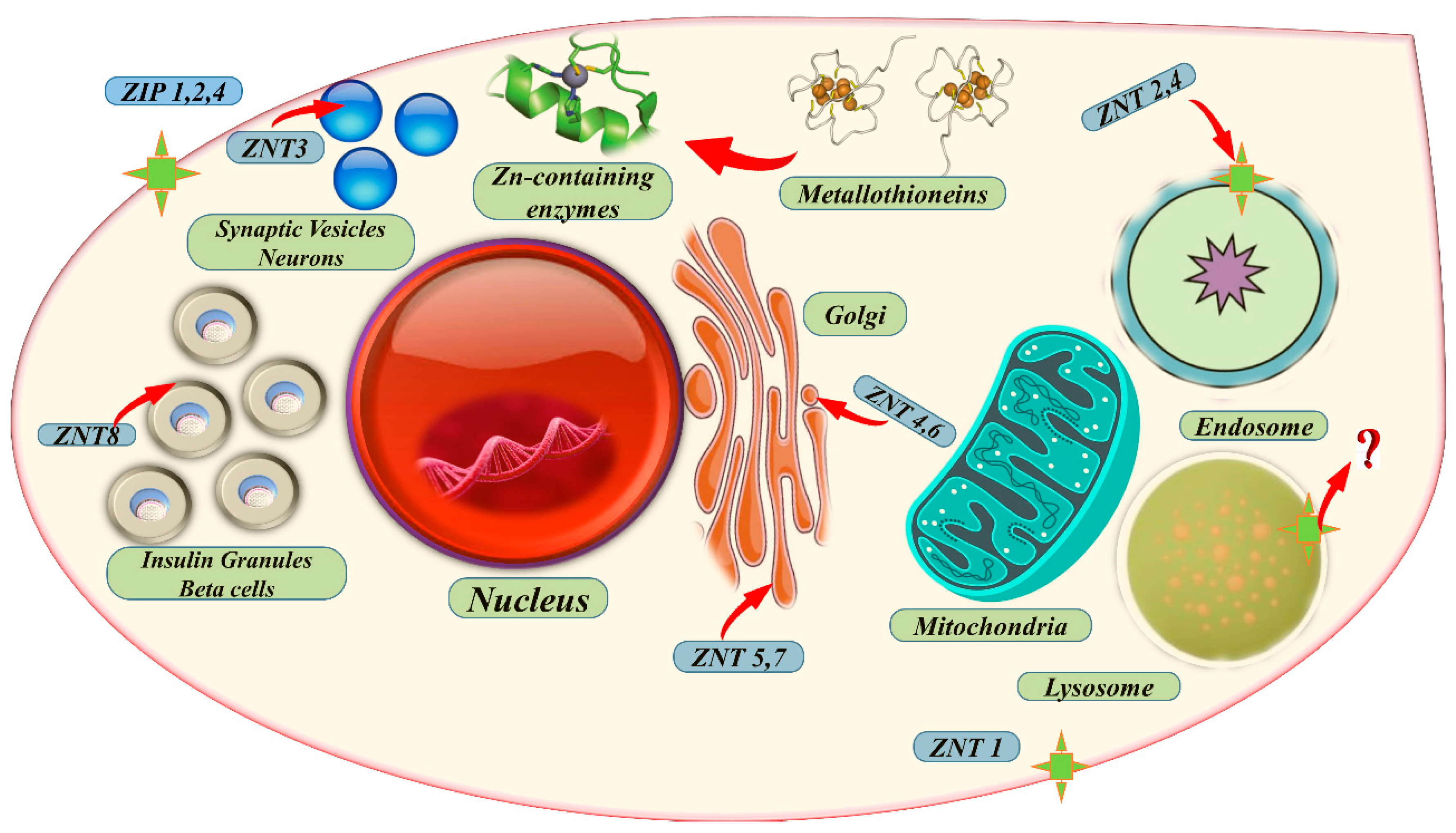 Metabolites 13 00839 g004