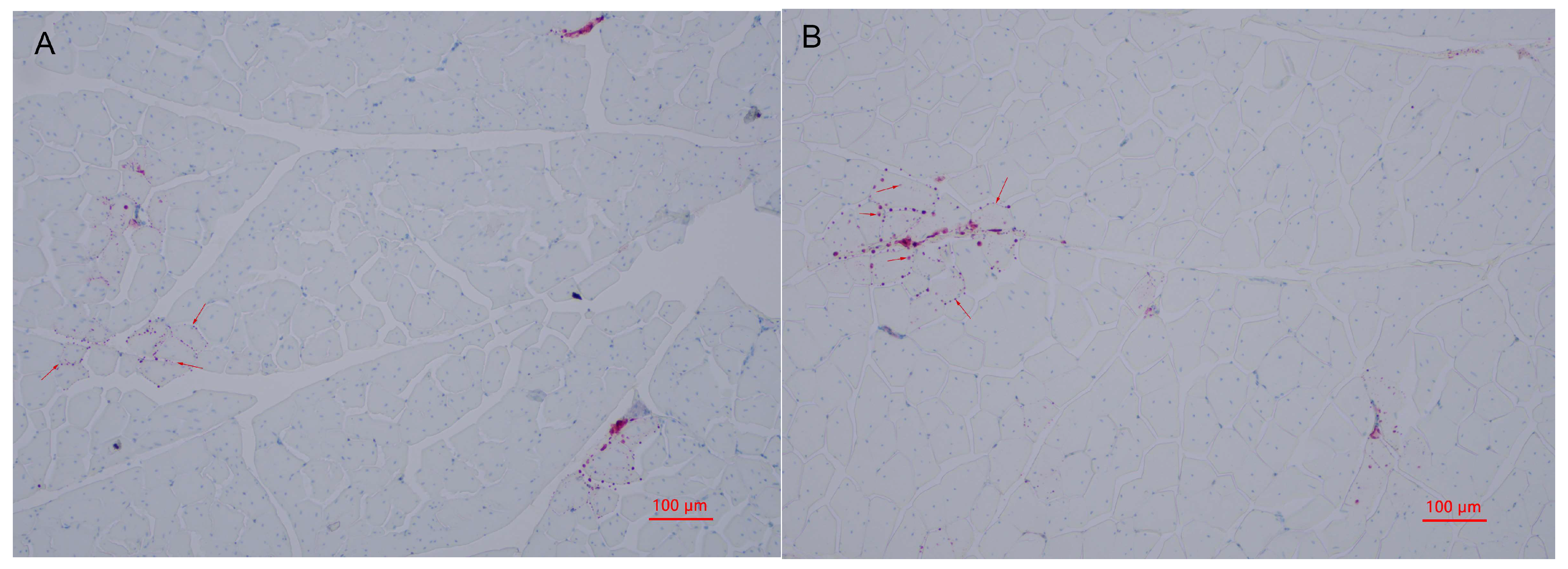 Metabolites 13 00840 g003