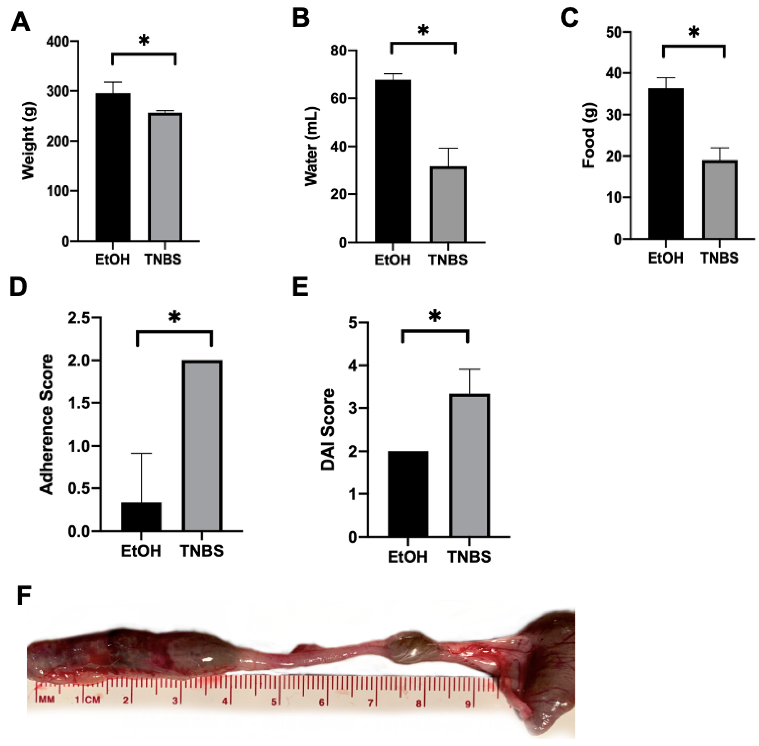 Metabolites 13 00843 g001