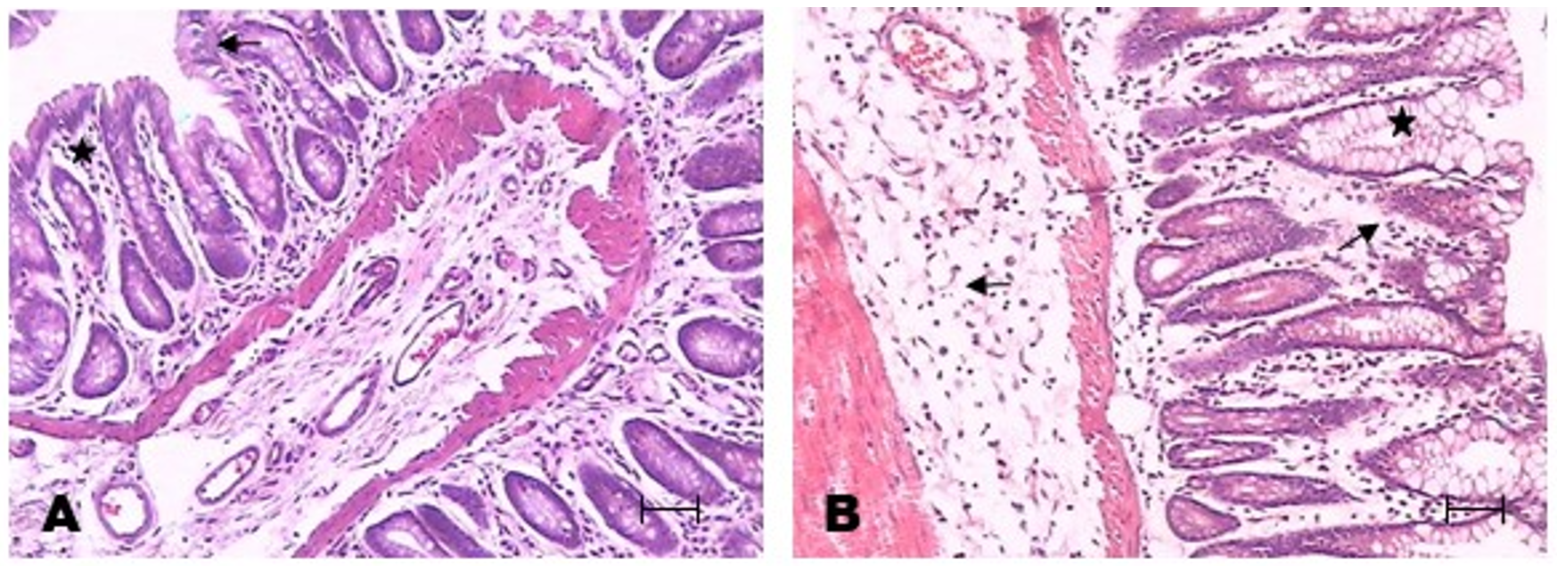 Metabolites 13 00843 g002