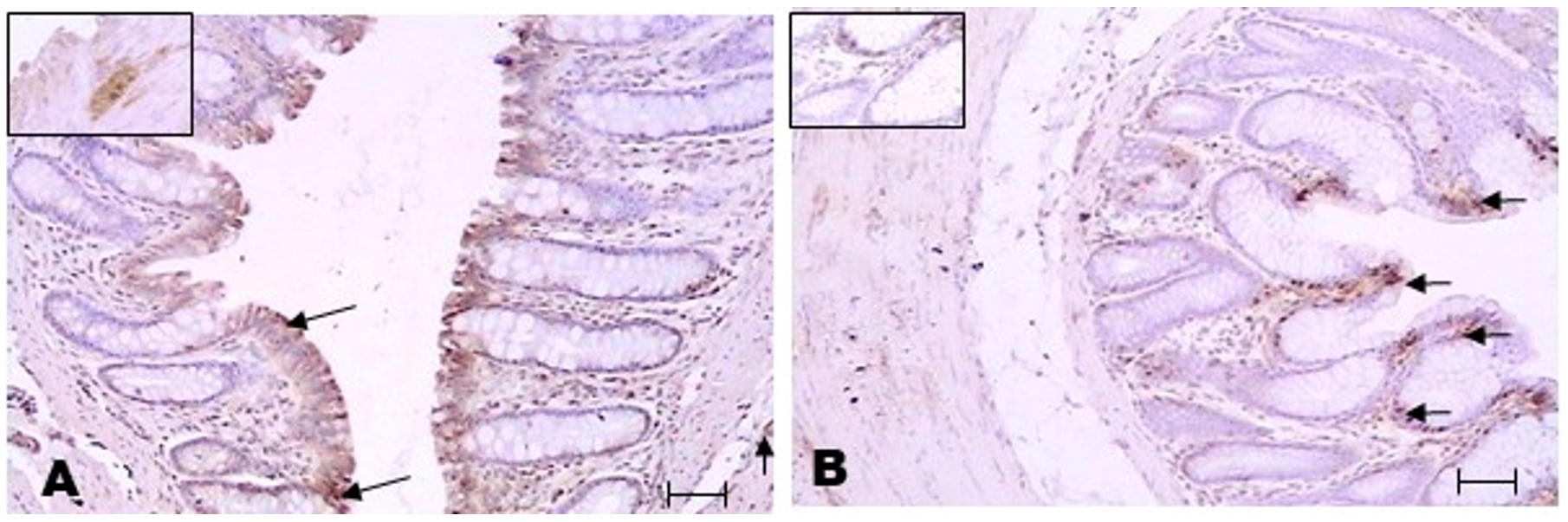 Metabolites 13 00843 g005