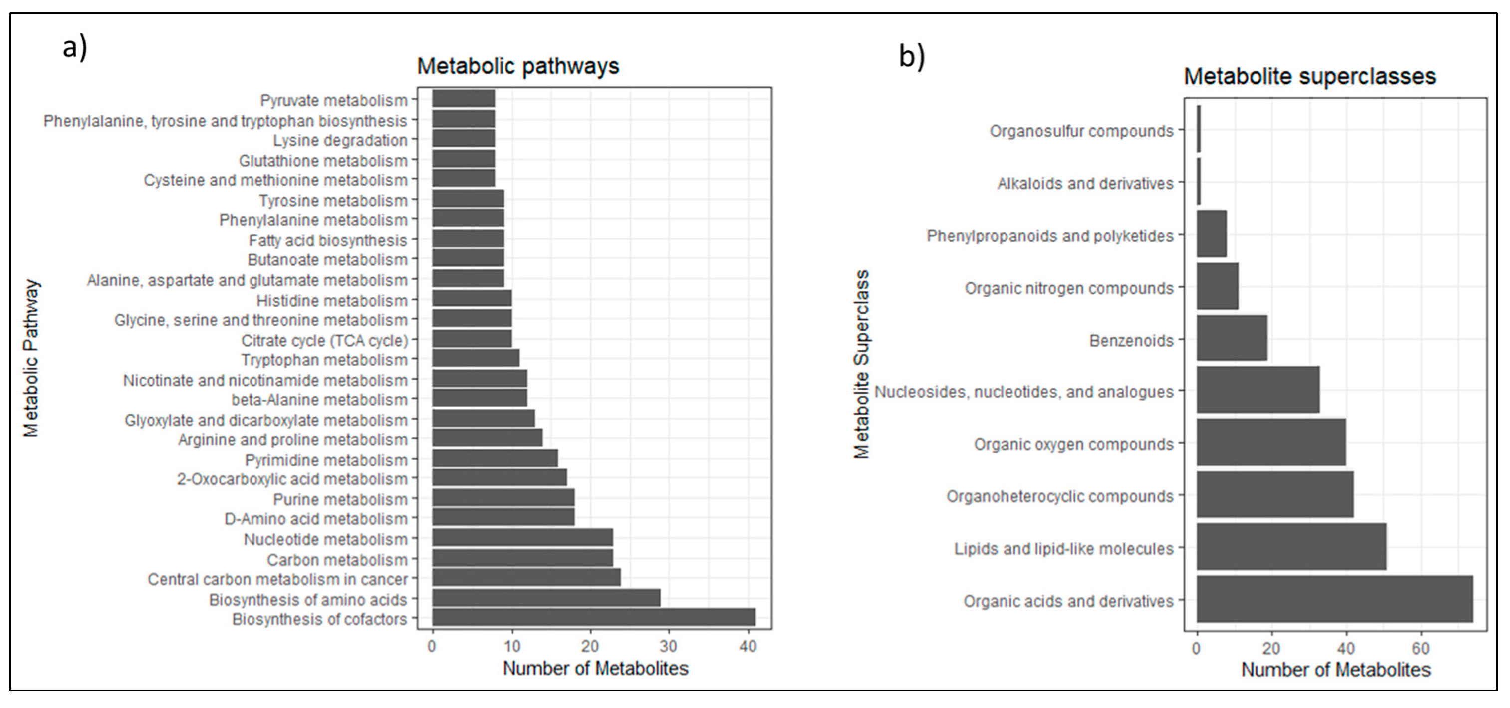 Metabolites 13 00844 g002 Metabolites 13 00844 g002