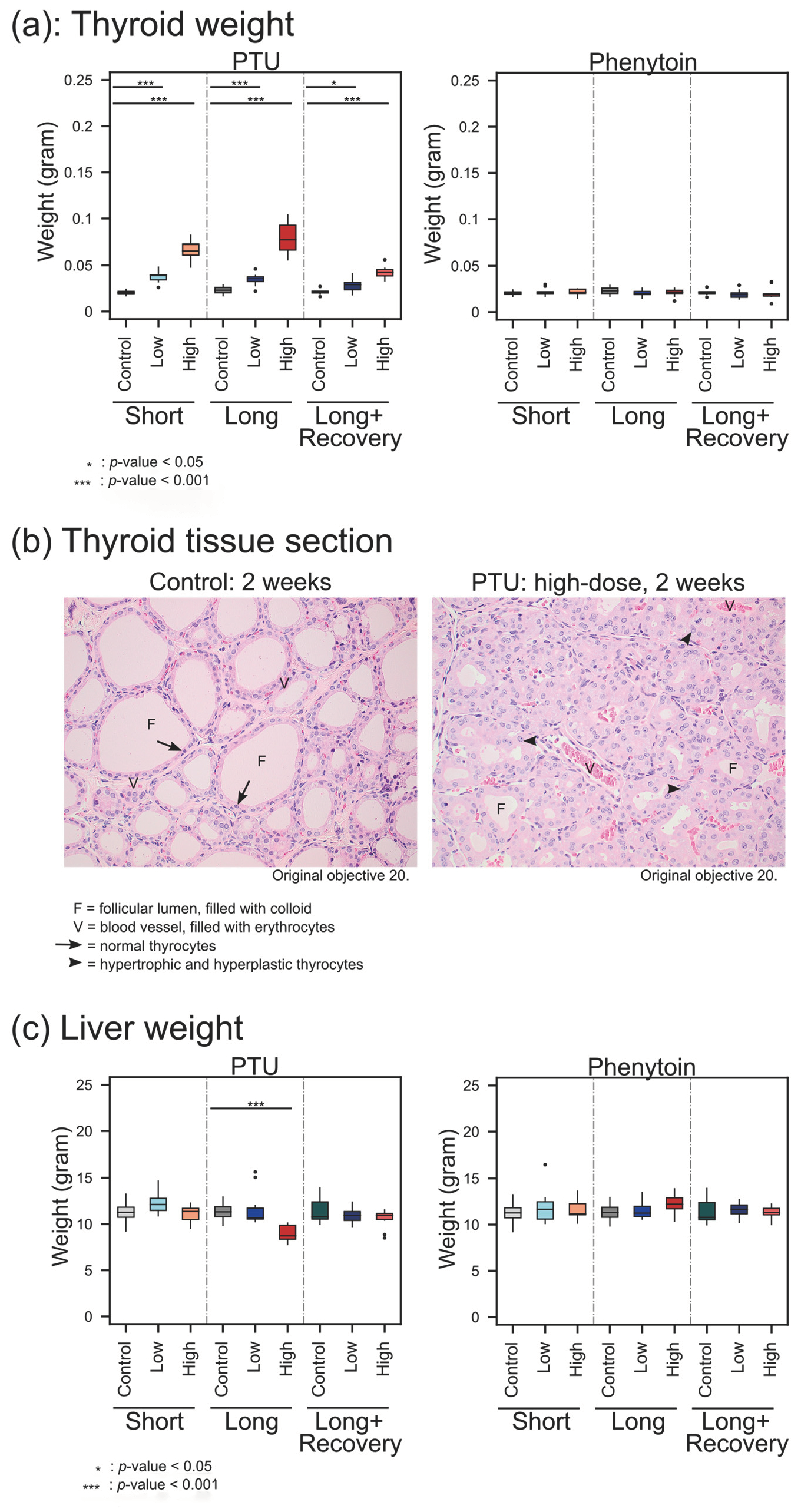 Metabolites 13 00847 g003