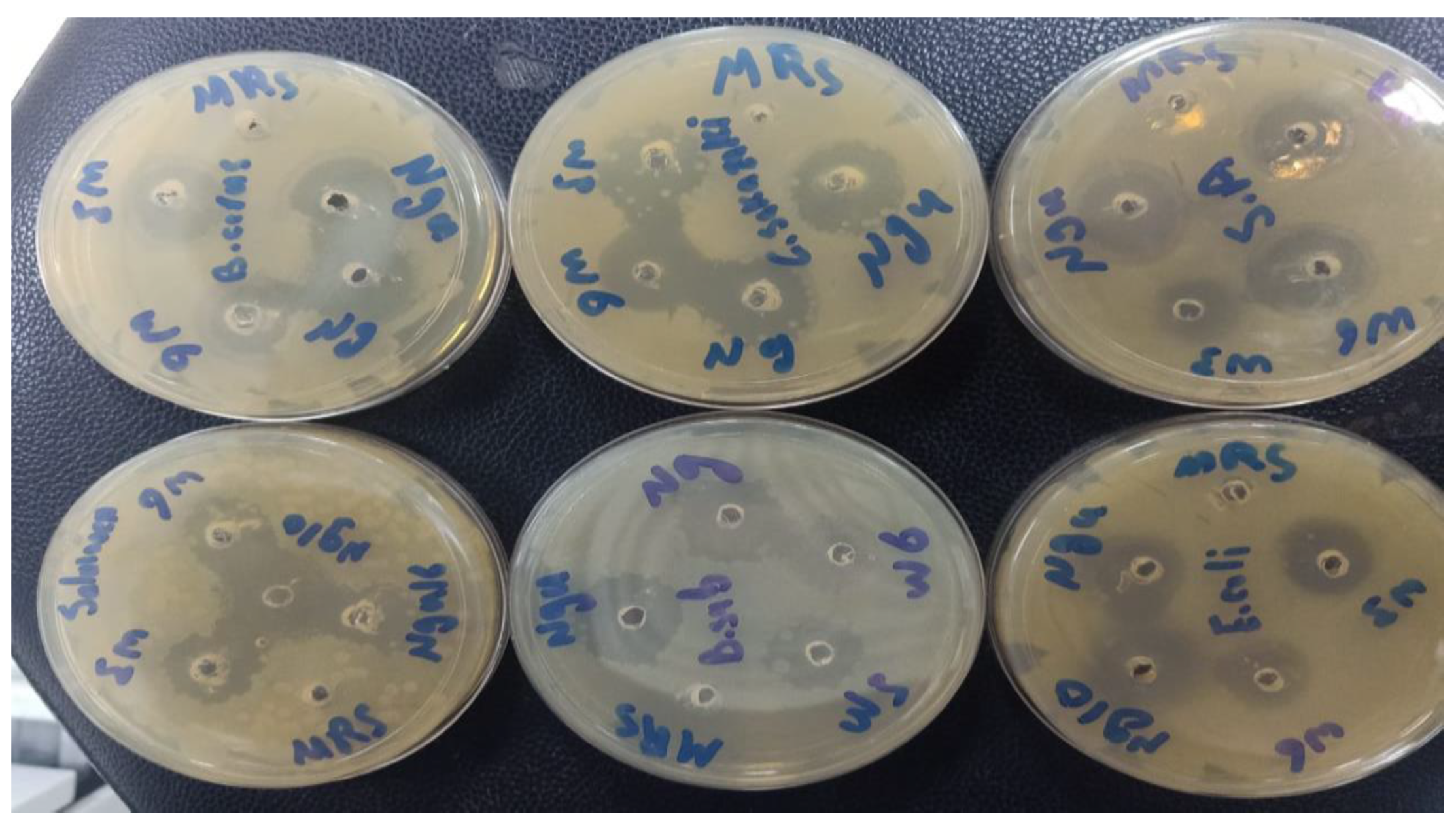 Metabolites 13 00849 g002