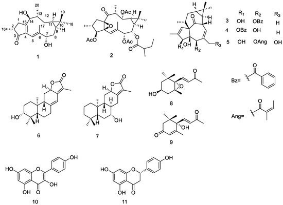 Metabolites 13 00852 g001