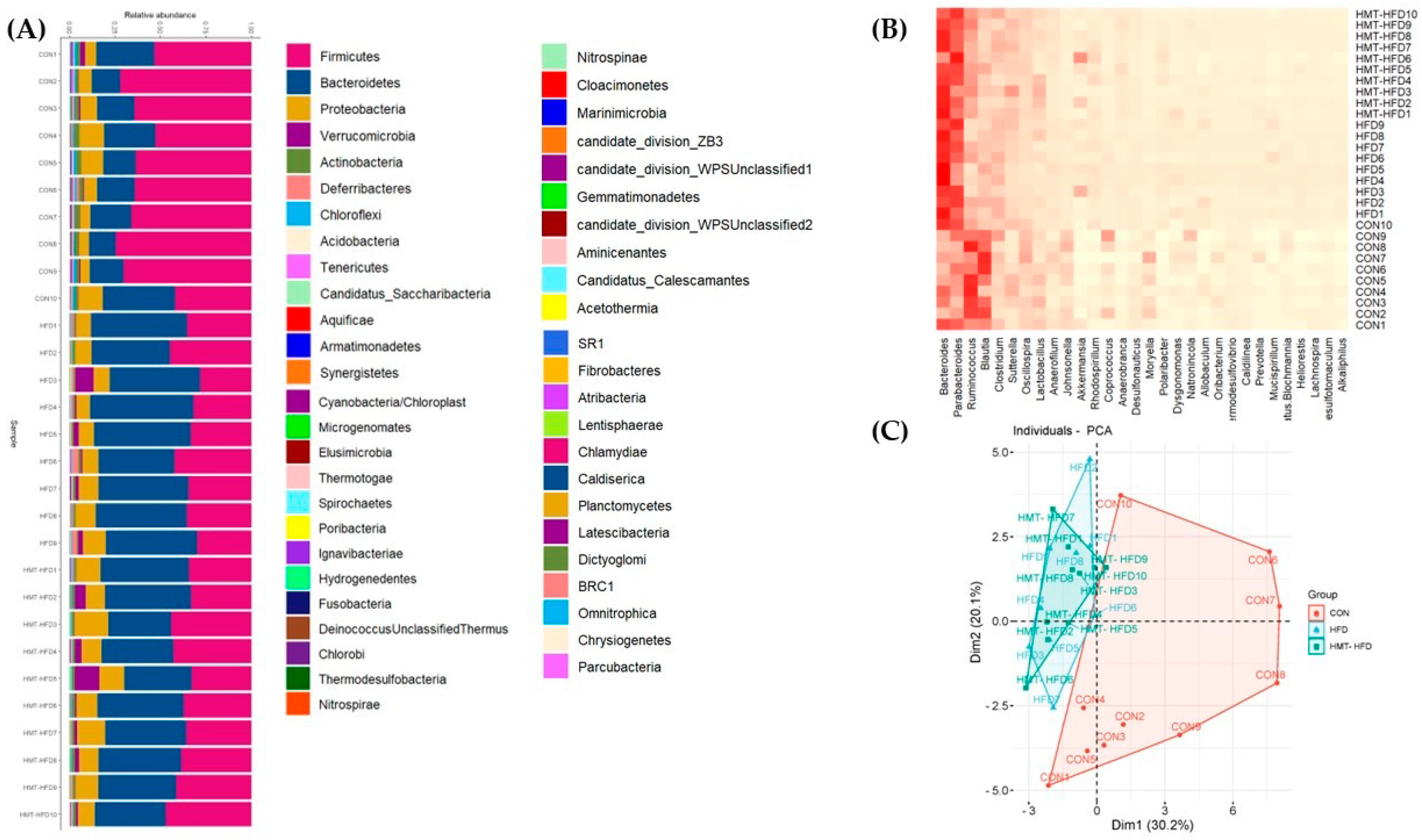 Metabolites 13 00858 g010a