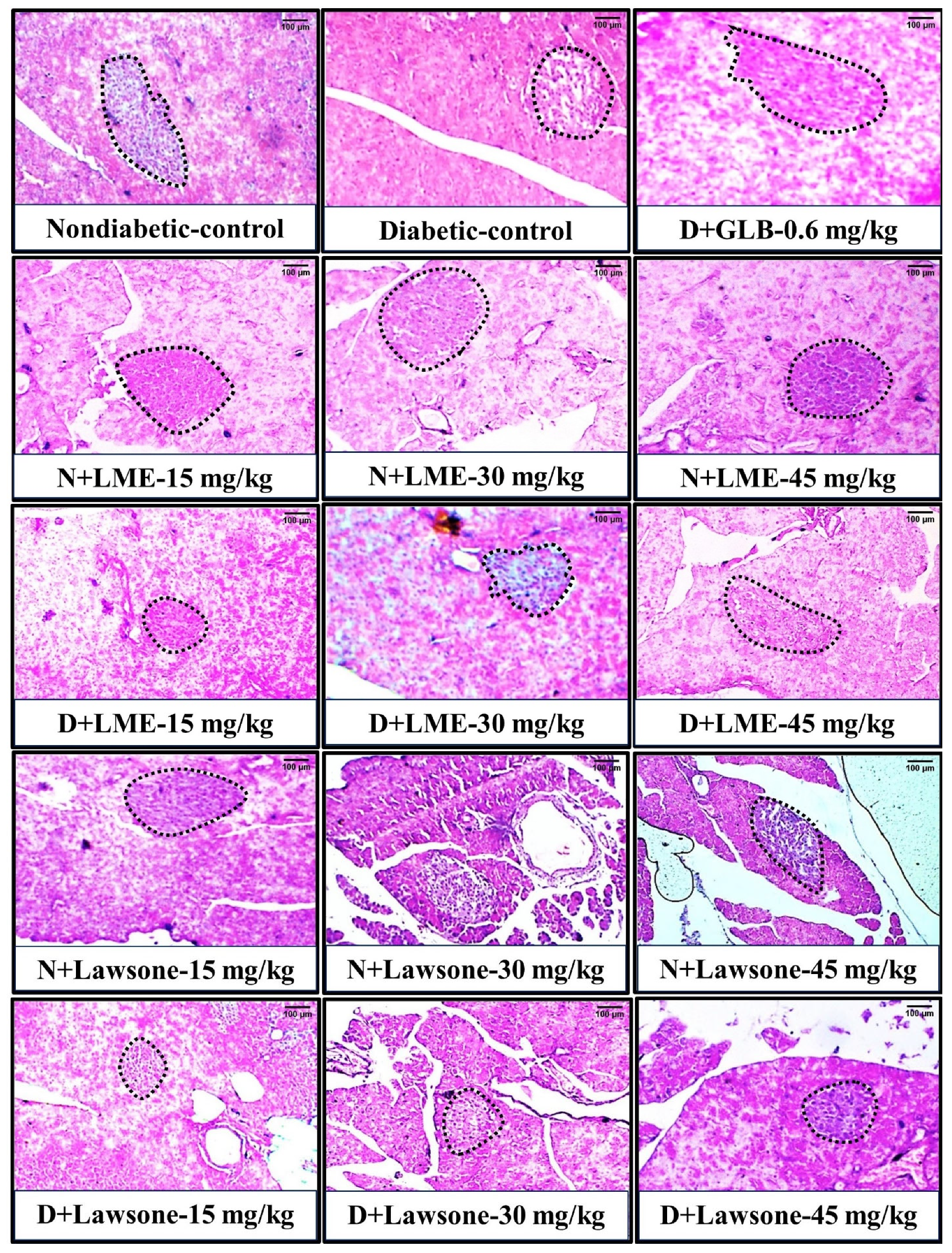 Metabolites 13 00863 g003