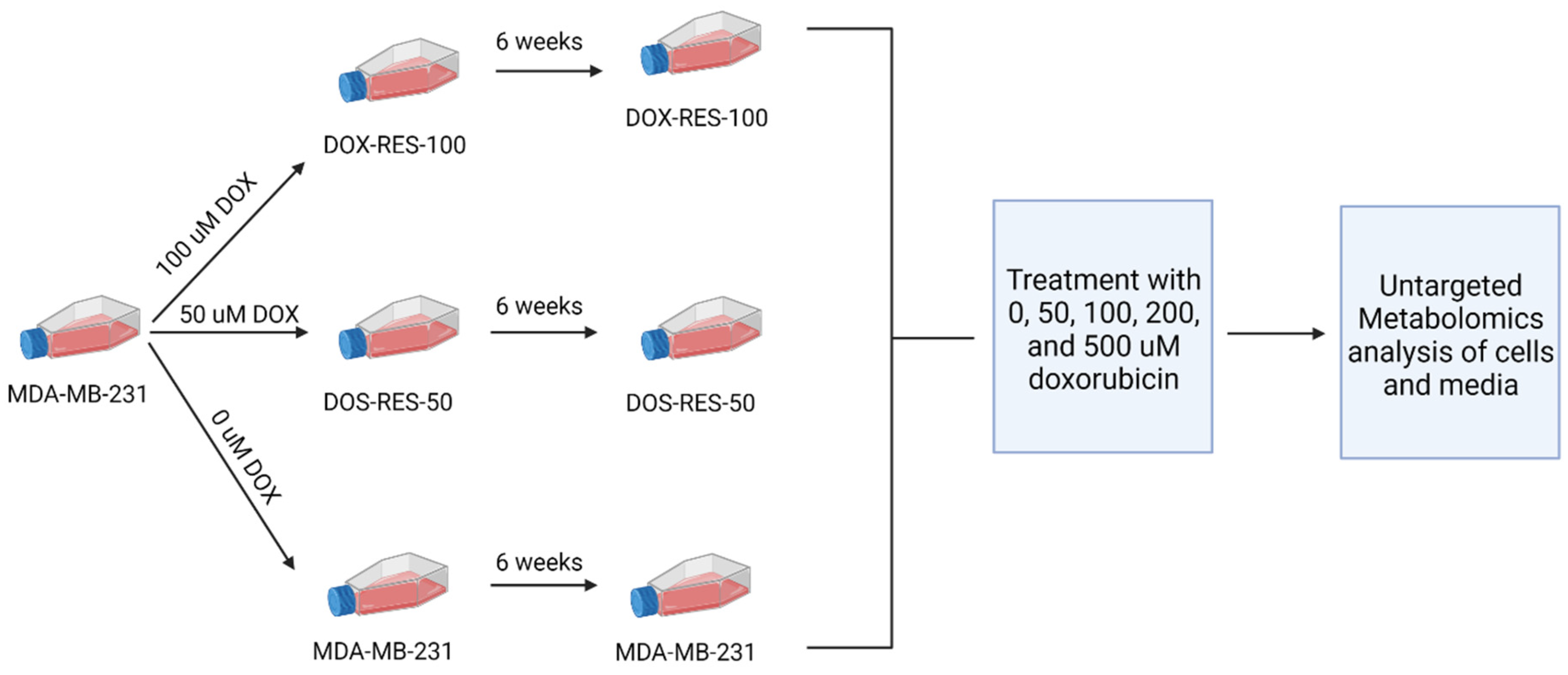 Metabolites 13 00865 g001